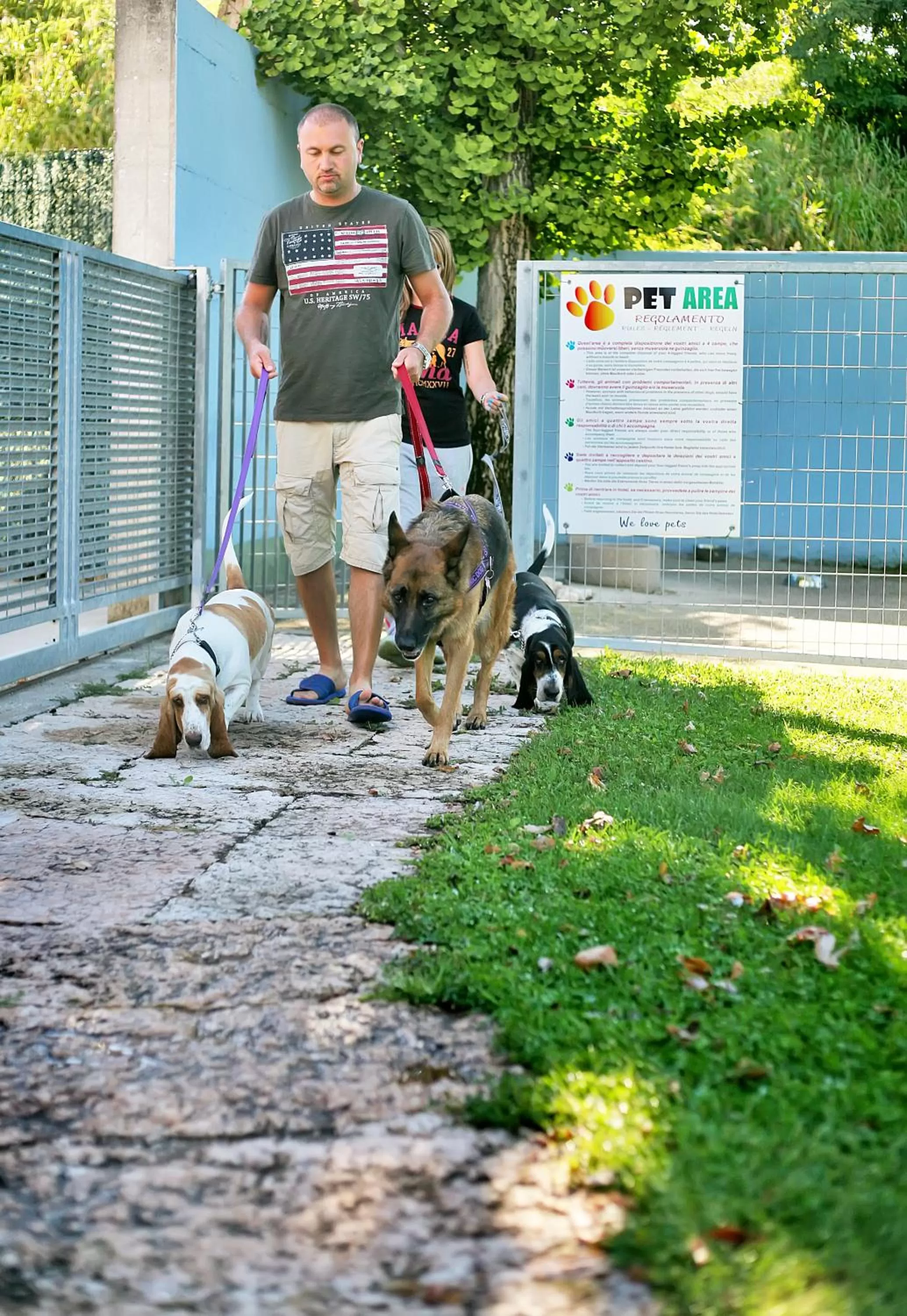 Area and facilities in Best Western Plus Soave Hotel