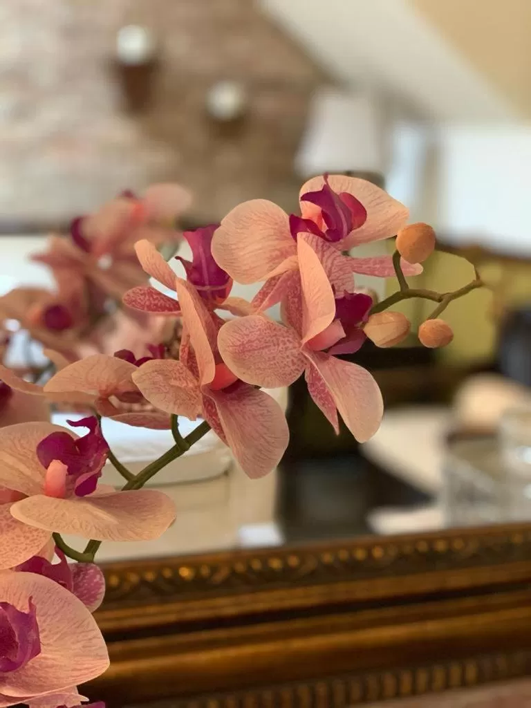 Hostal Villa Toscana