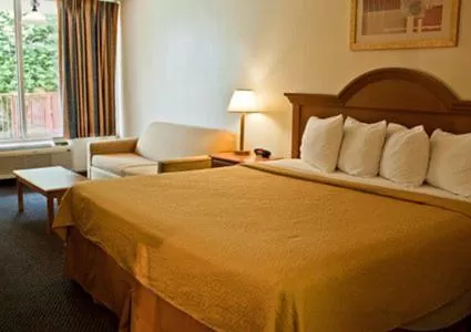 Bed in Motel 6-Oklahoma City, OK - Bricktown