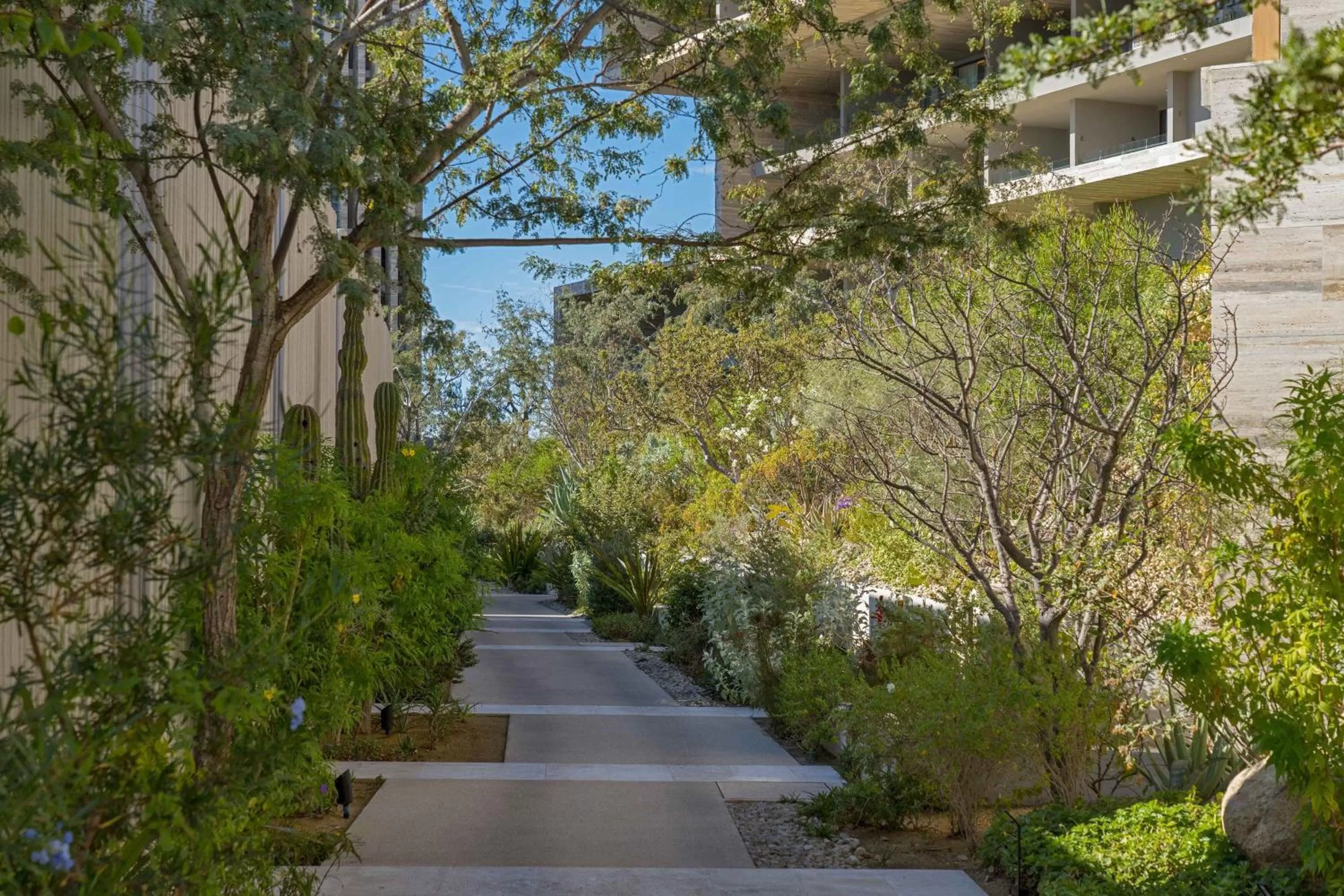 View (from property/room) in Solaz, a Luxury Collection Resort, Los Cabos