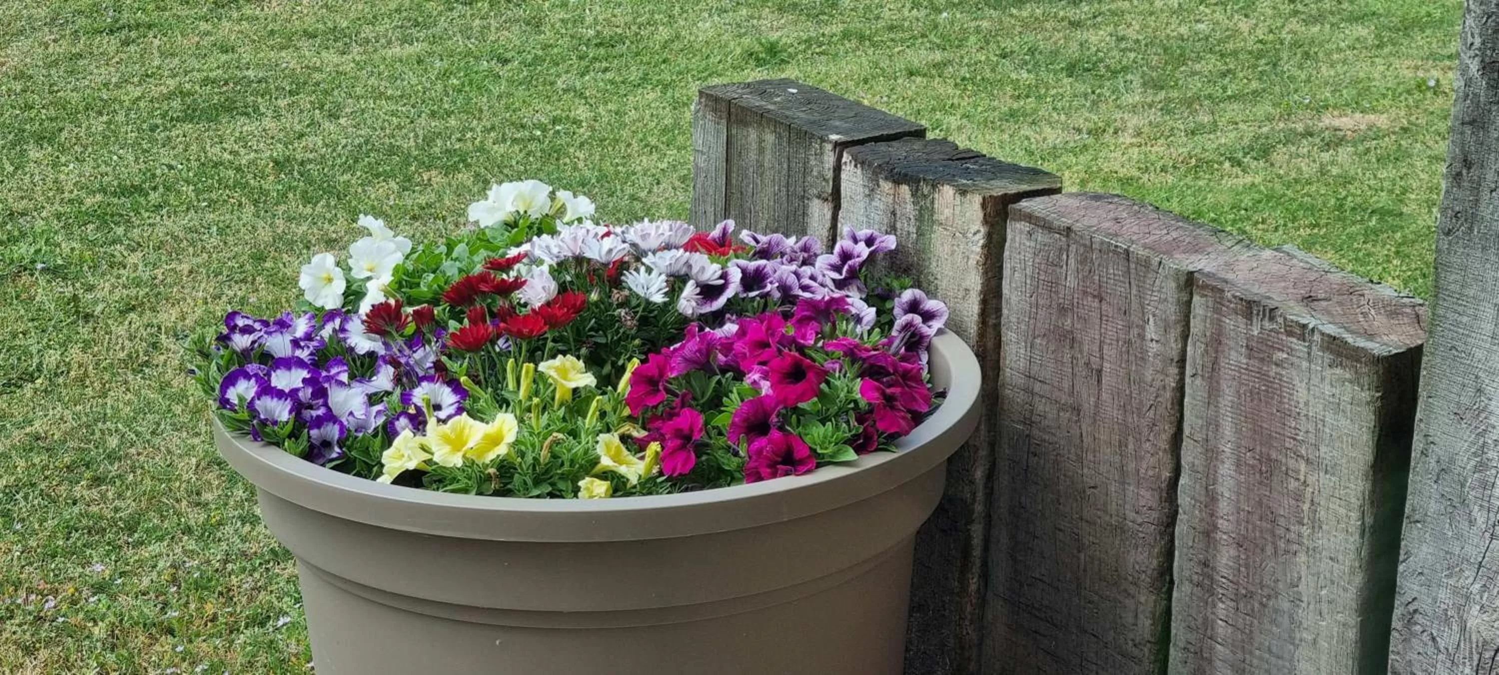 Garden view in Hotel Westendia and Free Parking Top Breakfast