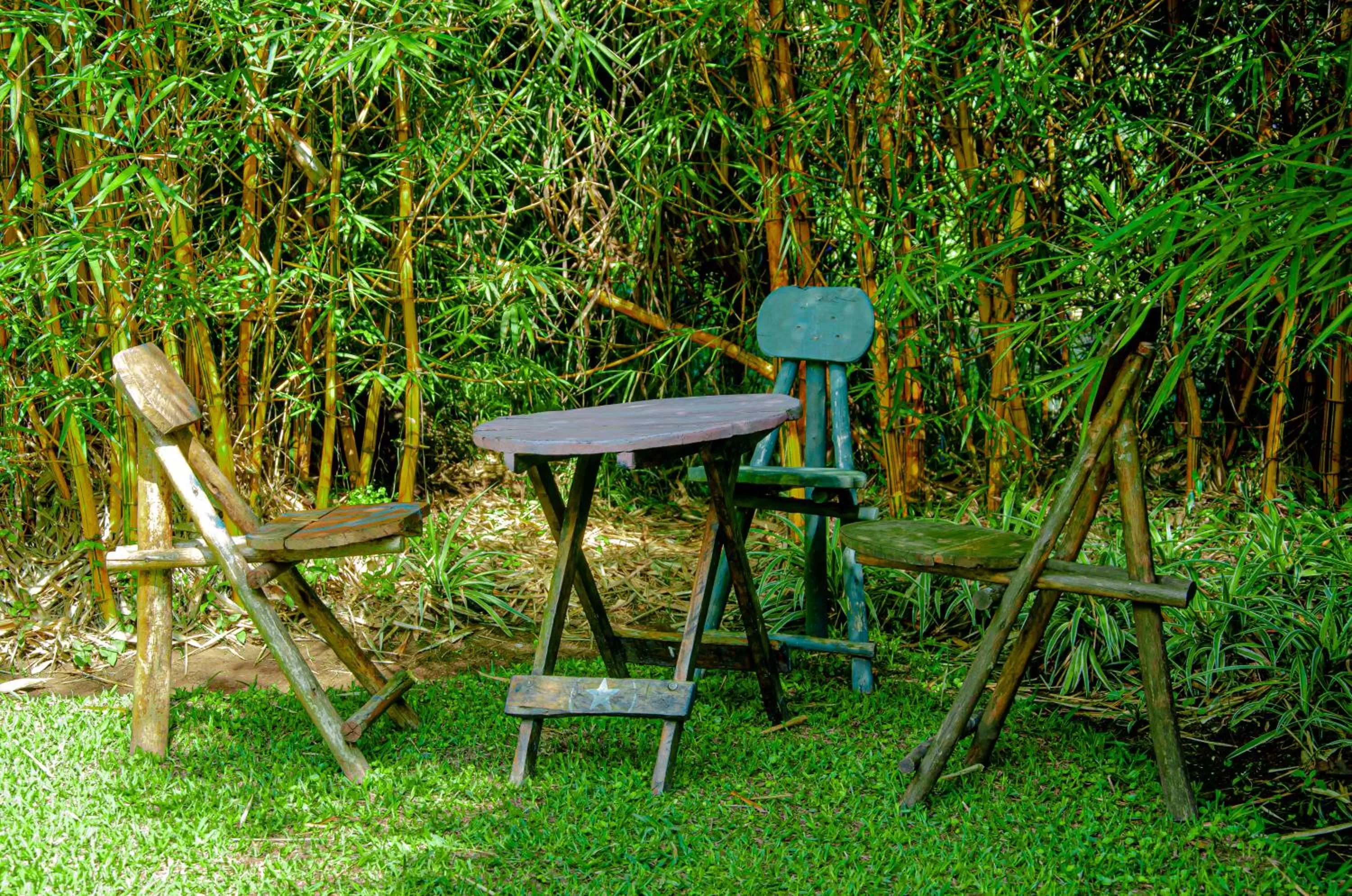 Seating area, Garden in Fravan Eco Resort By Apogee