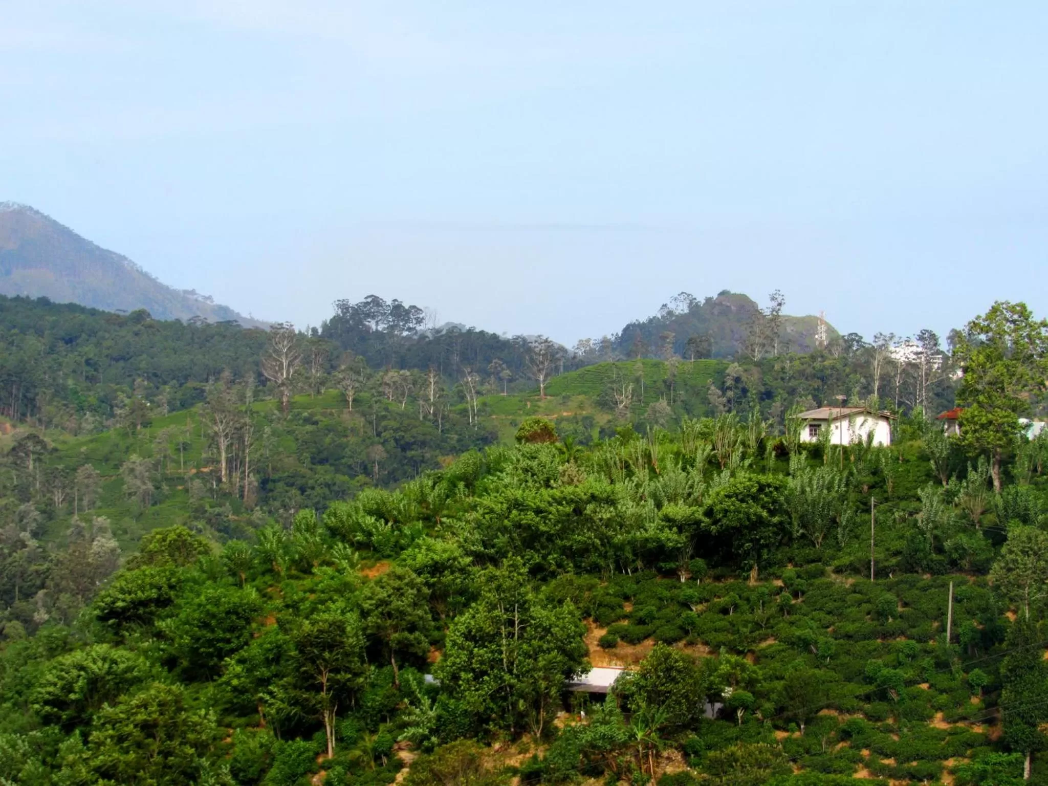 Mountain view in Ornateview Hotel