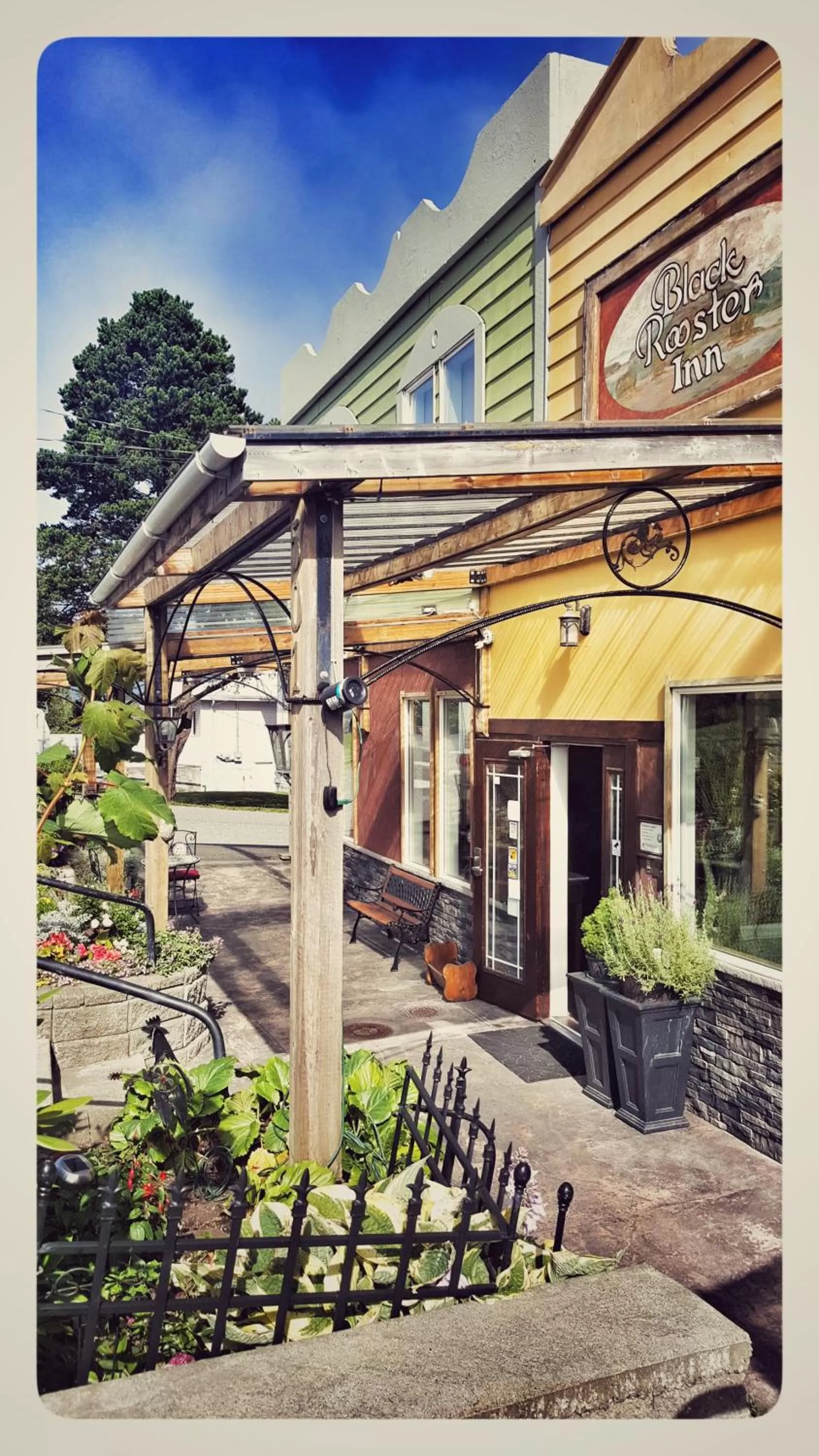 Garden view in Black Rooster Guesthouse