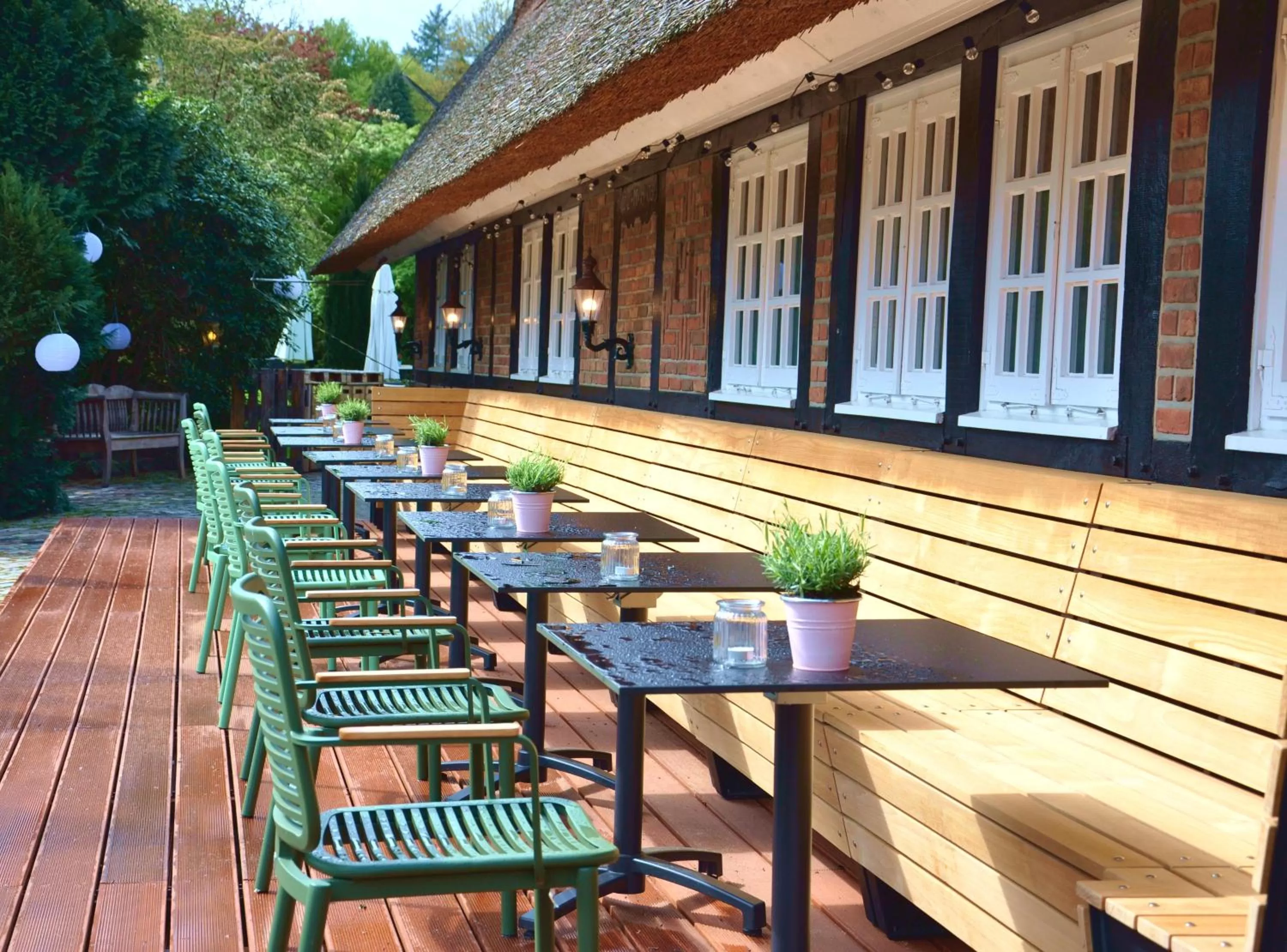 Balcony/Terrace in Meinsbur Boutique Hotel