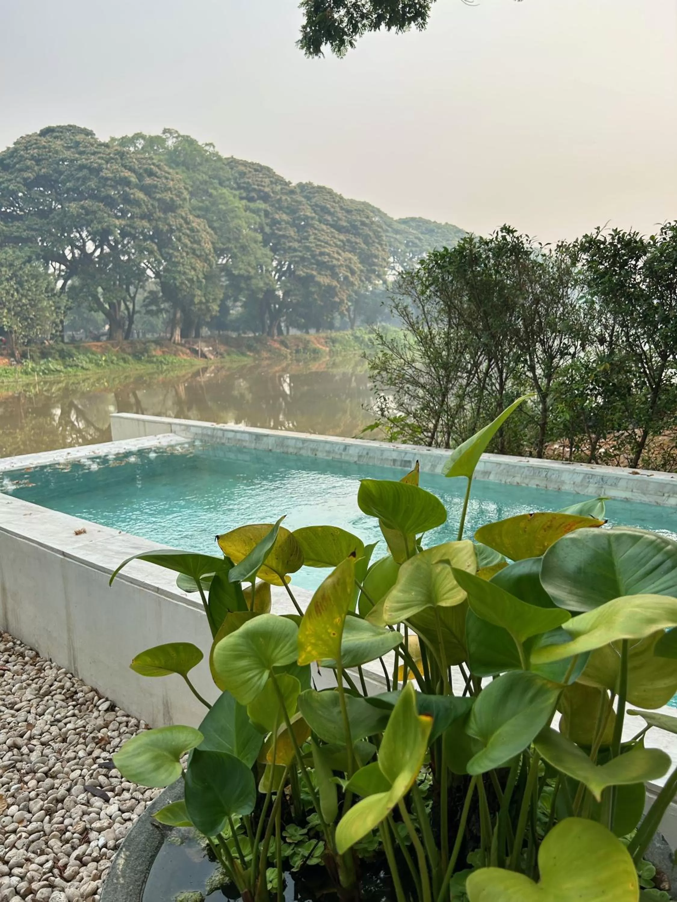 Restaurant/places to eat in Little Shelter Hotel Chiangmai