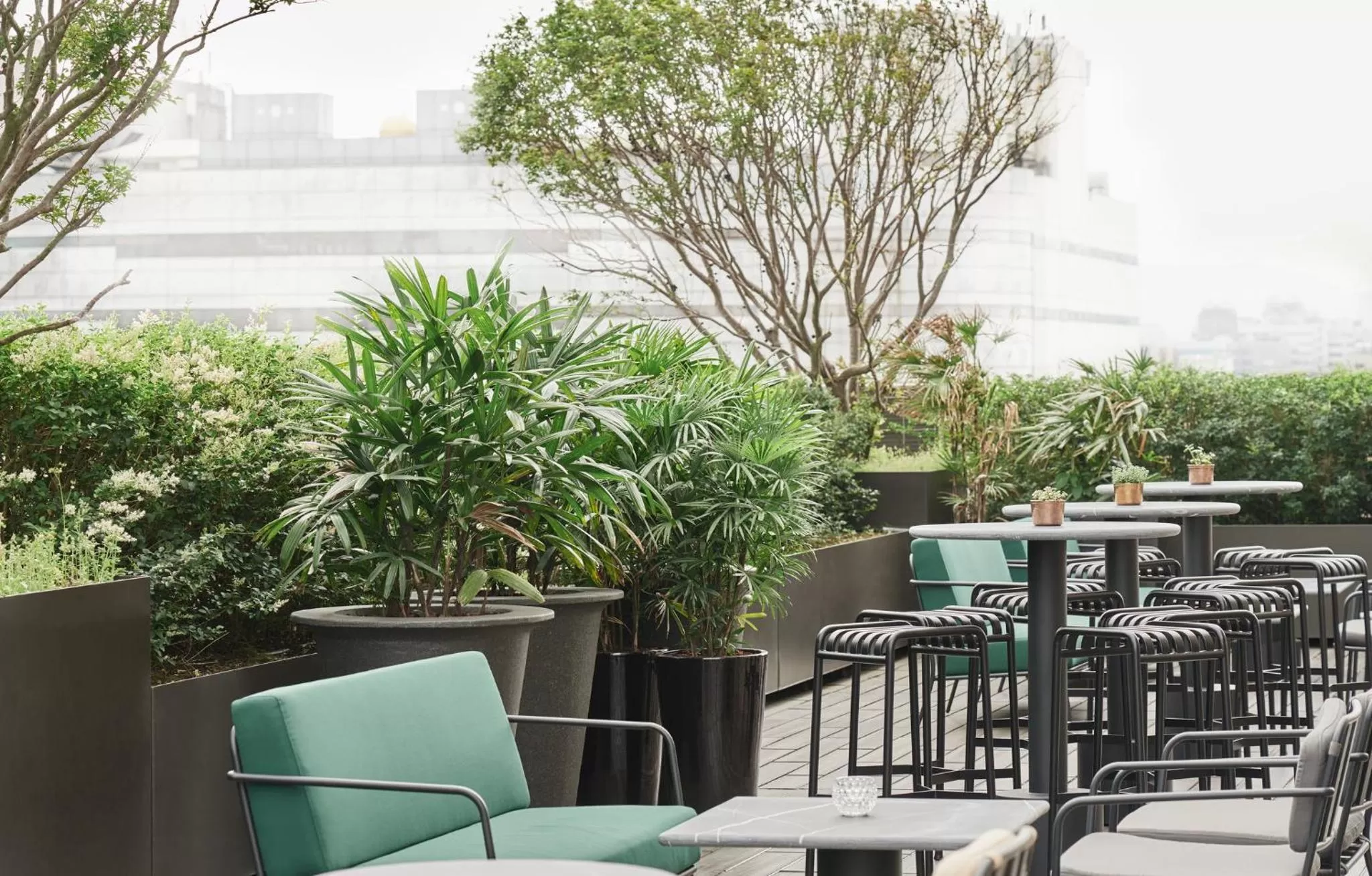 Restaurant/places to eat in Kimpton Da An Taipei- an IHG Hotel