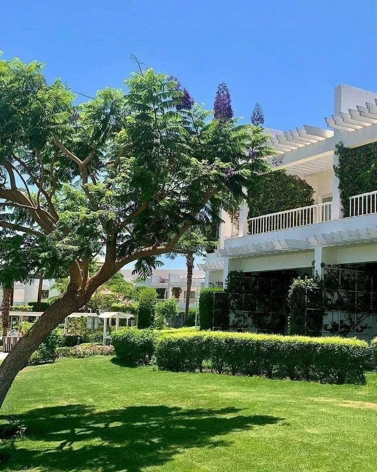 Property building in Monte Carlo Sharm Resort & Spa