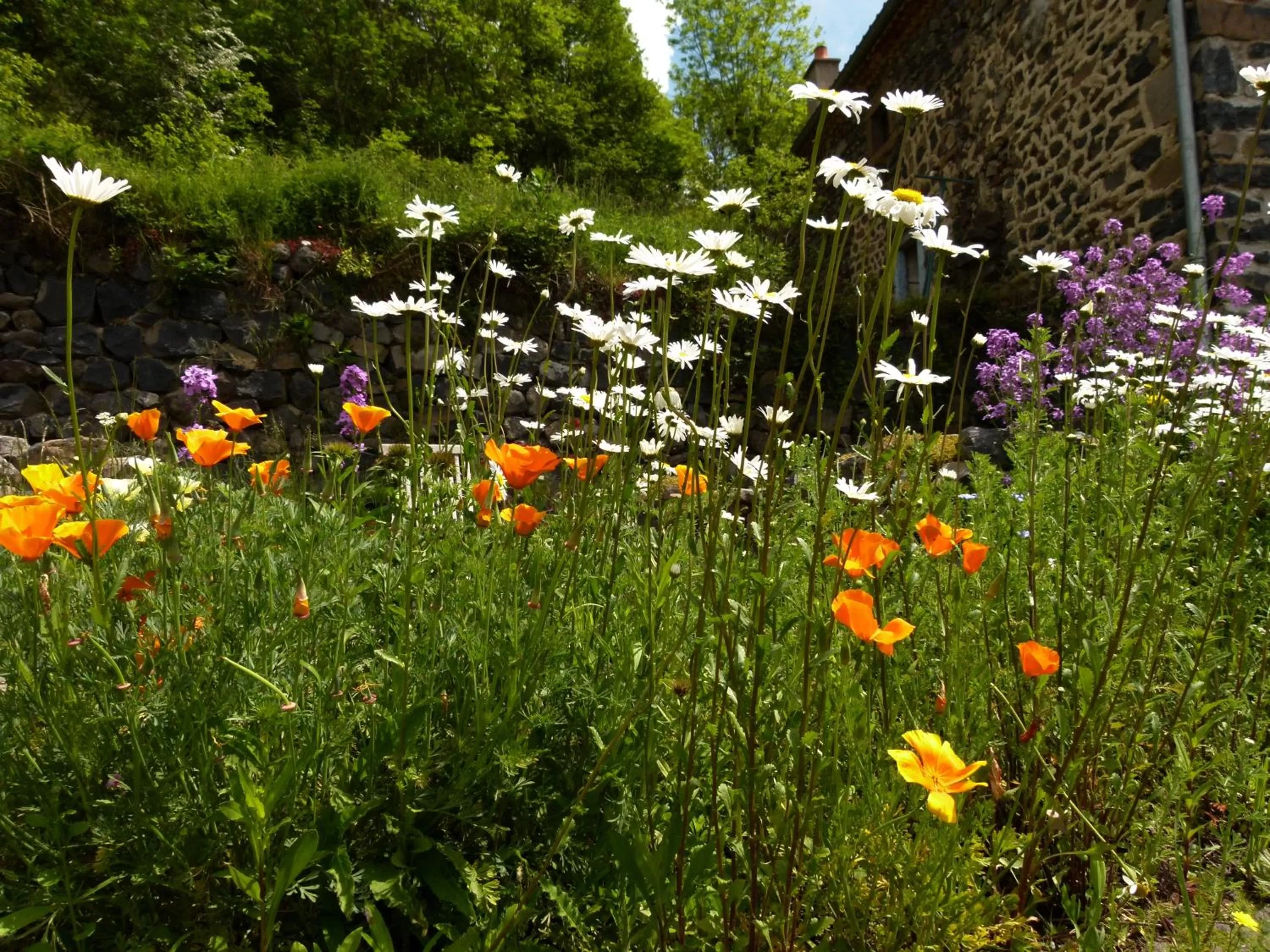 Spring, Garden in Art et Création