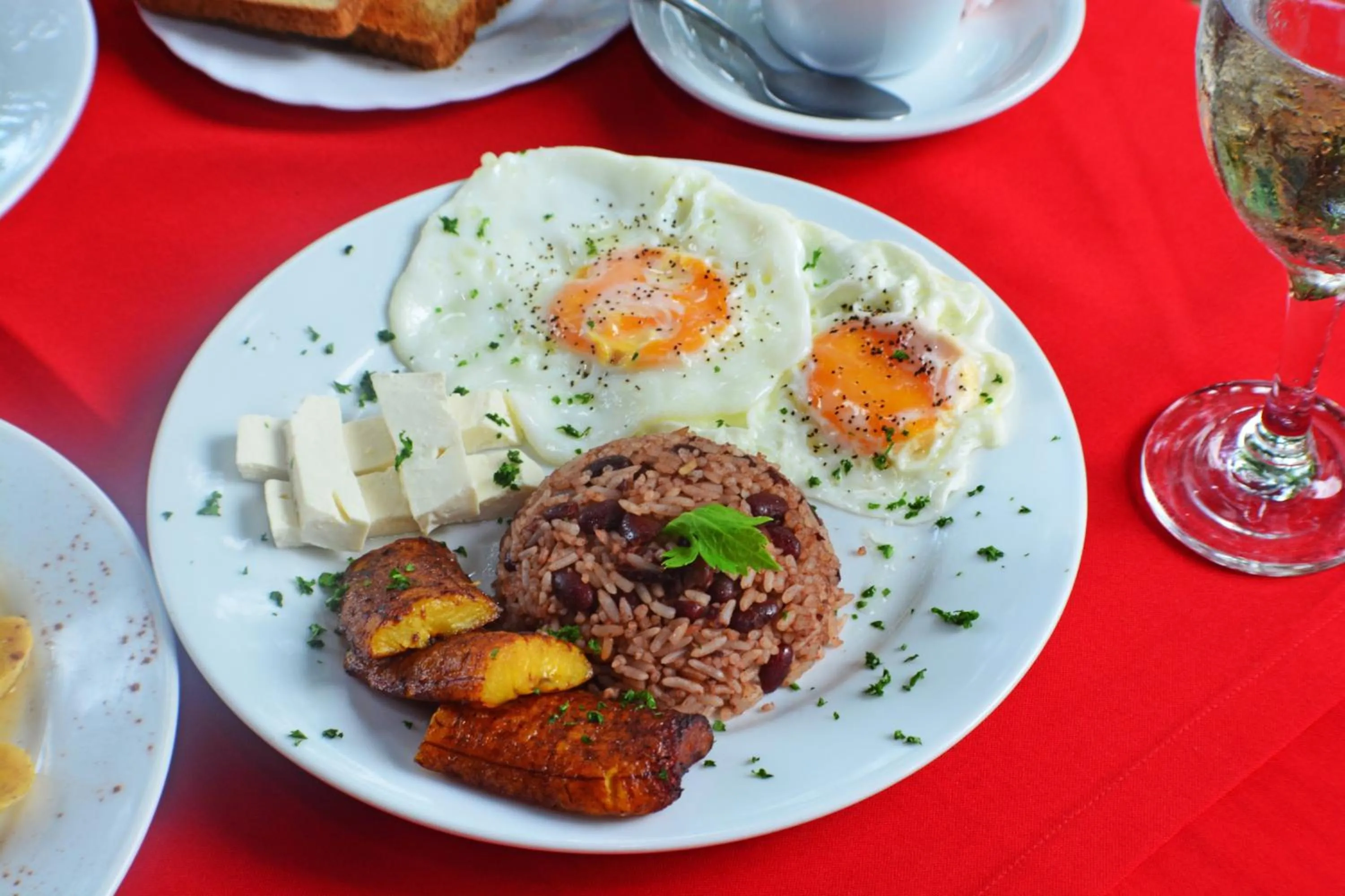 Restaurant/places to eat in Hotel Europeo