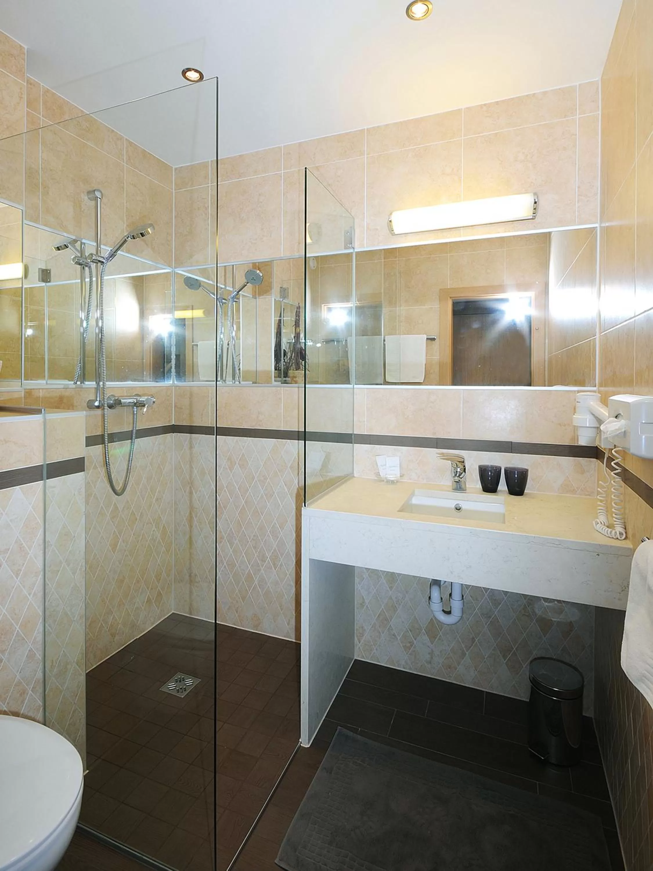 Shower, Bathroom in Hotel Jägerhof und Jagdhaus