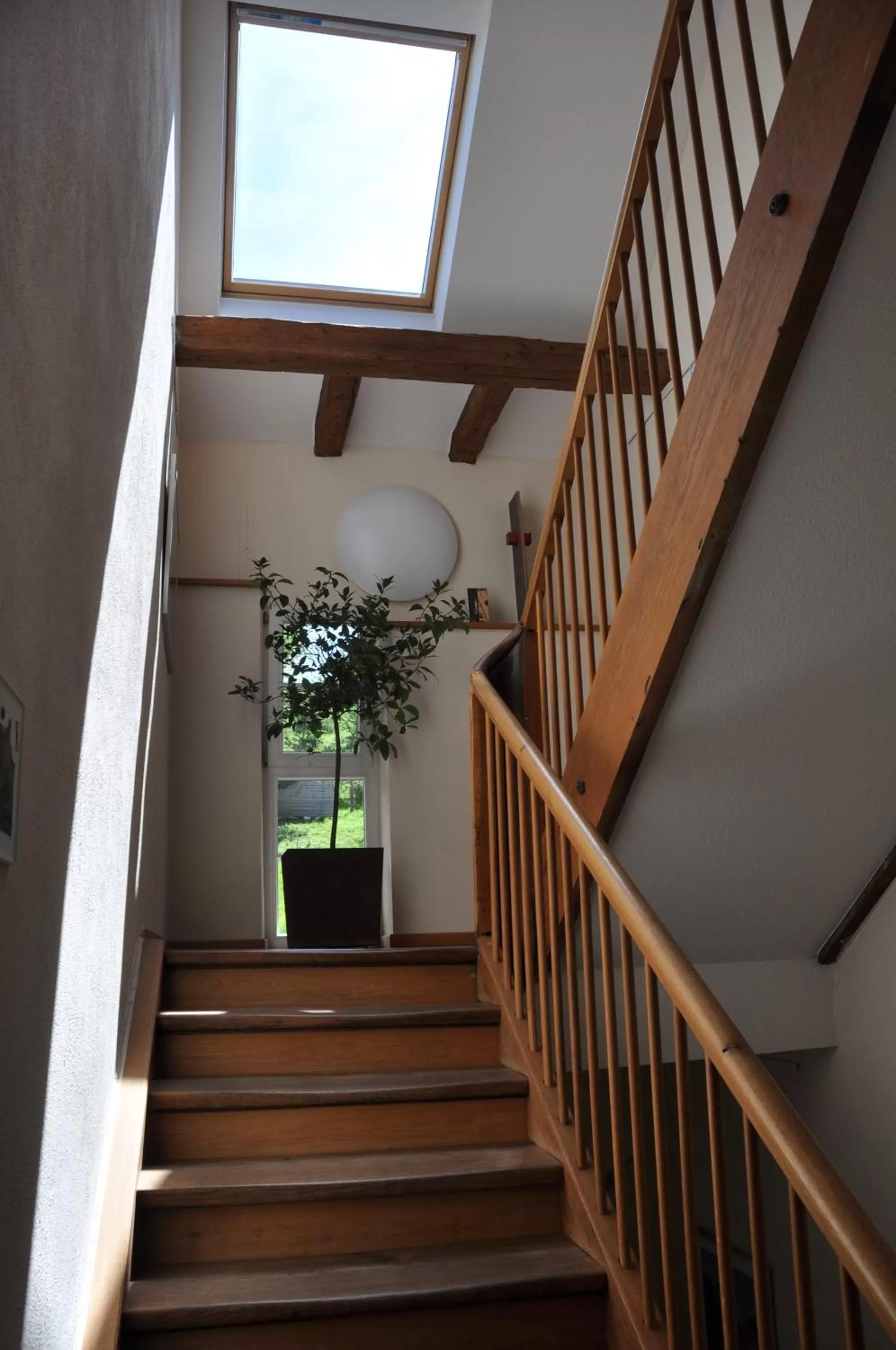 Other in Gästehaus stuttgART36