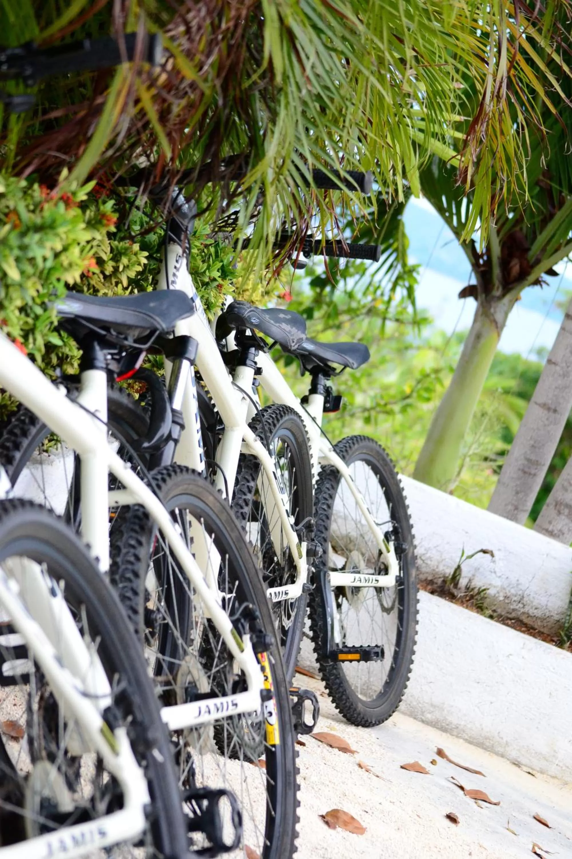 Other in Eden Resort