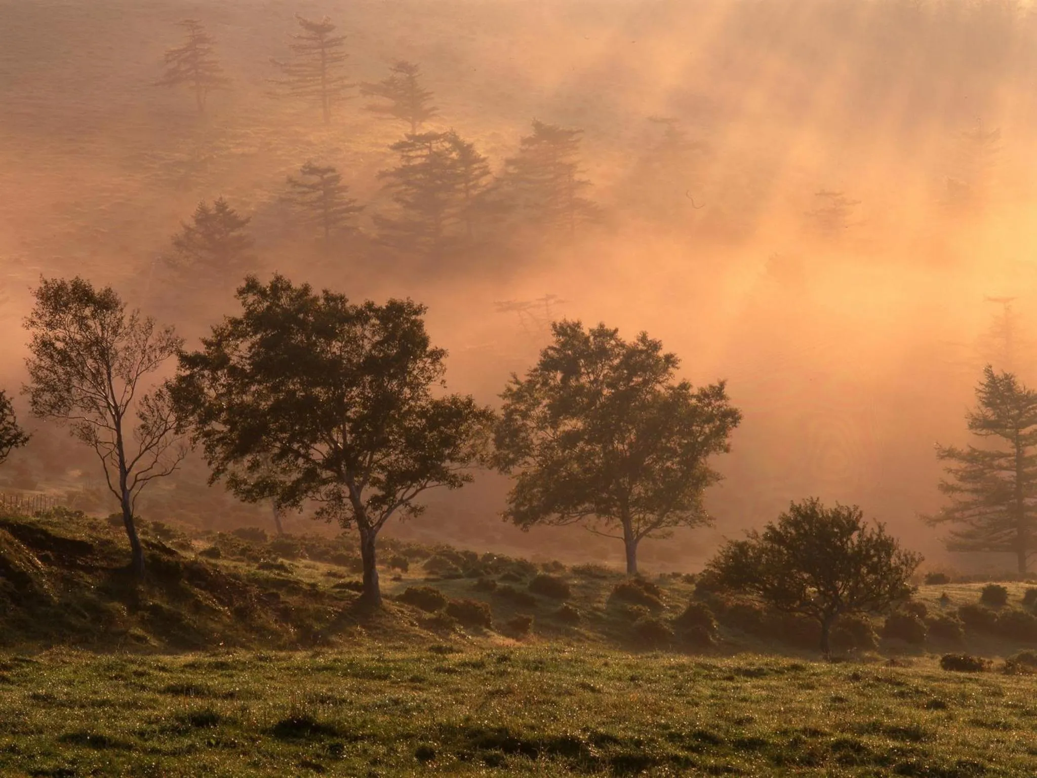 Area and facilities in Hotel Buena Vista
