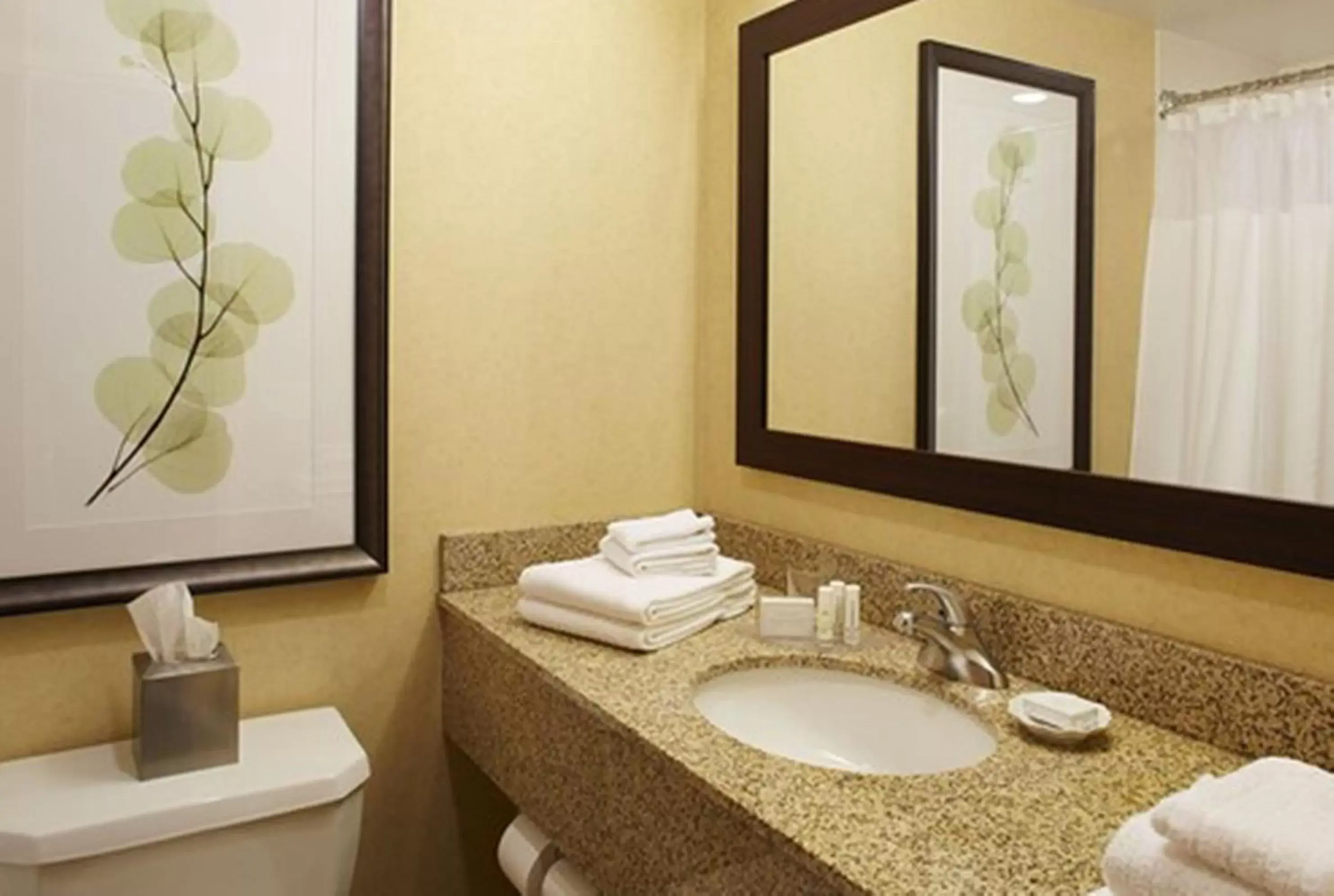 Double Room with Two Double Beds - Non-Smoking in Courtyard by Marriott Buffalo Amherst/University Double Room with Two Double Beds - Non-Smoking in Courtyard by Marriott Buffalo Amherst/University