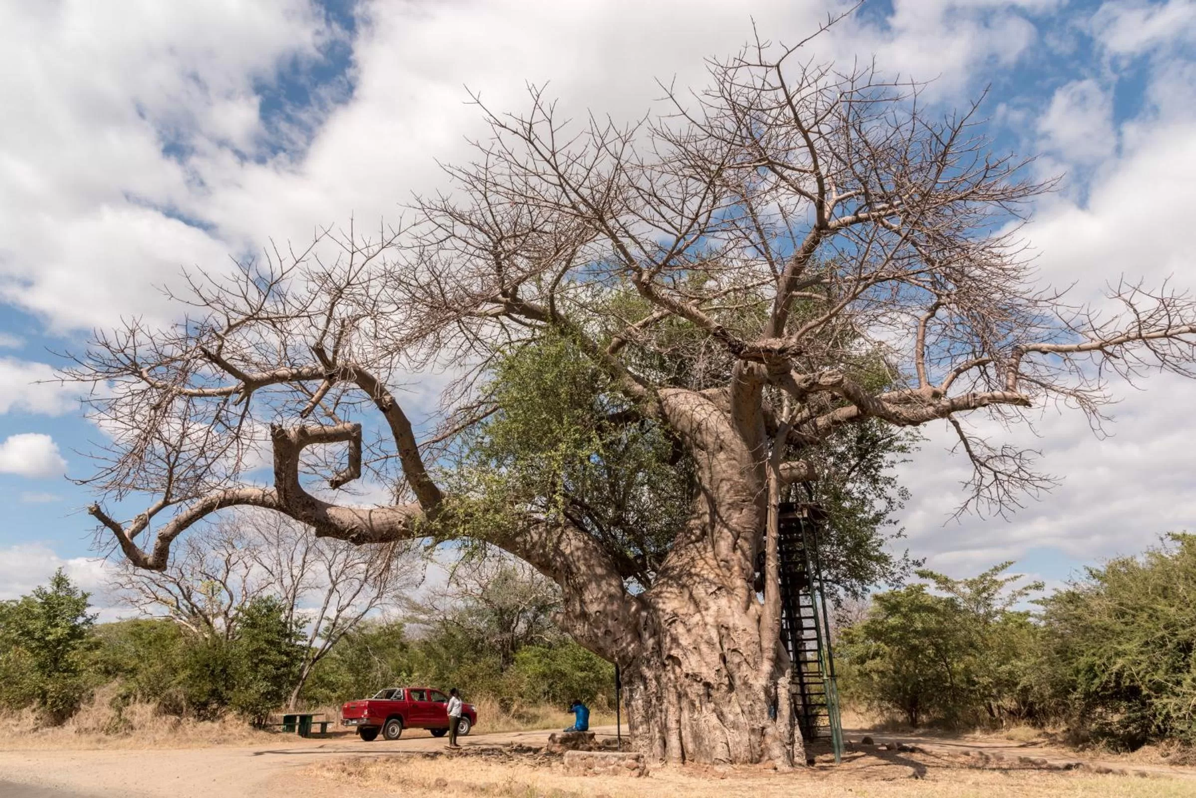 Nearby landmark in Okavango Lodge