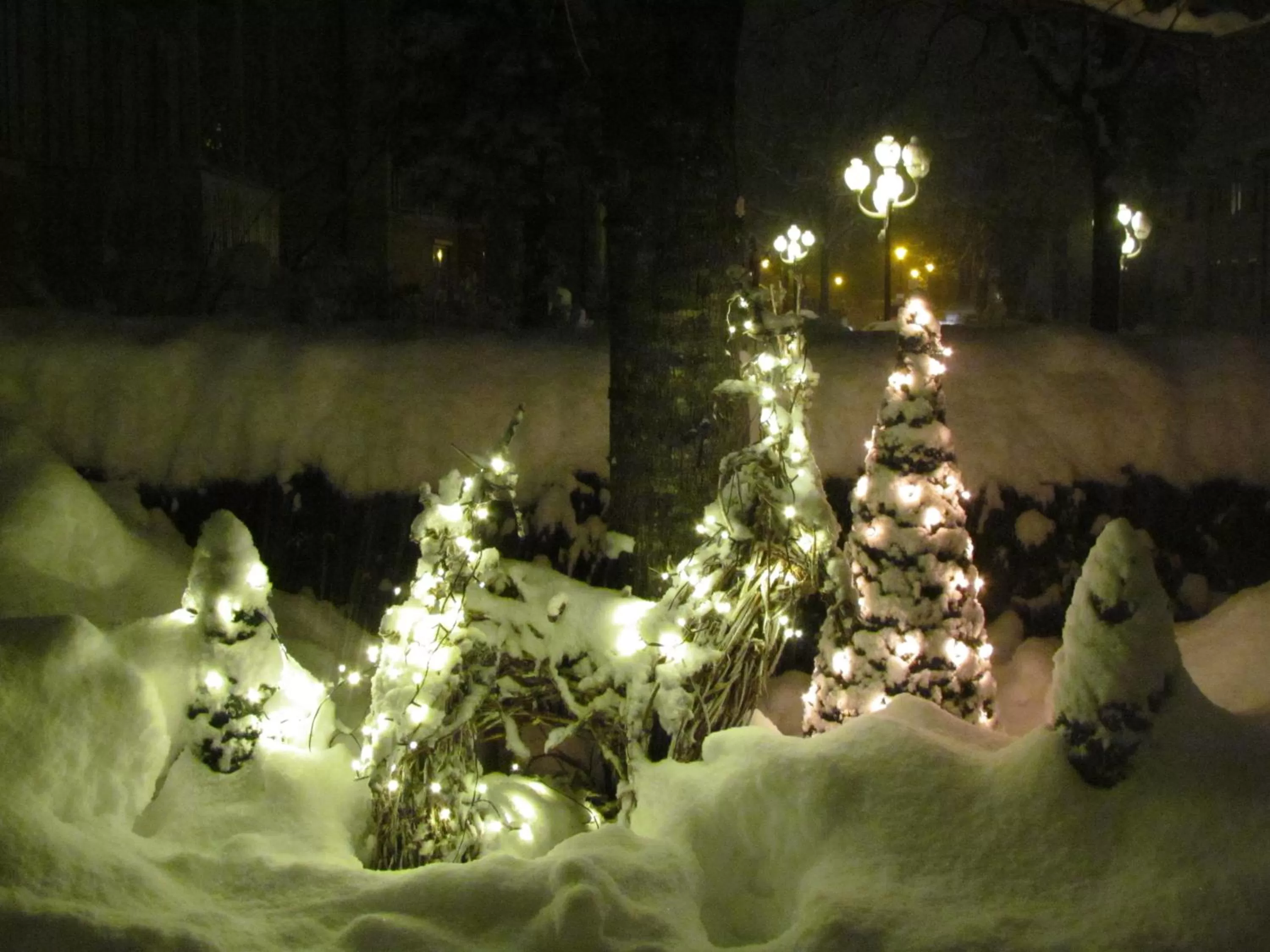 Winter in Hotel Almrausch