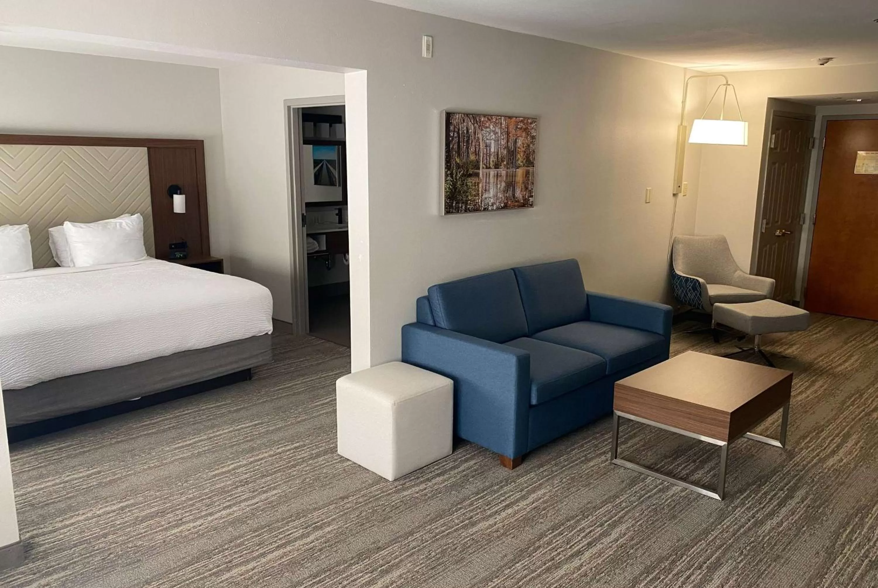 Photo of the whole room, Bed in Wingate by Wyndham Lafayette Airport