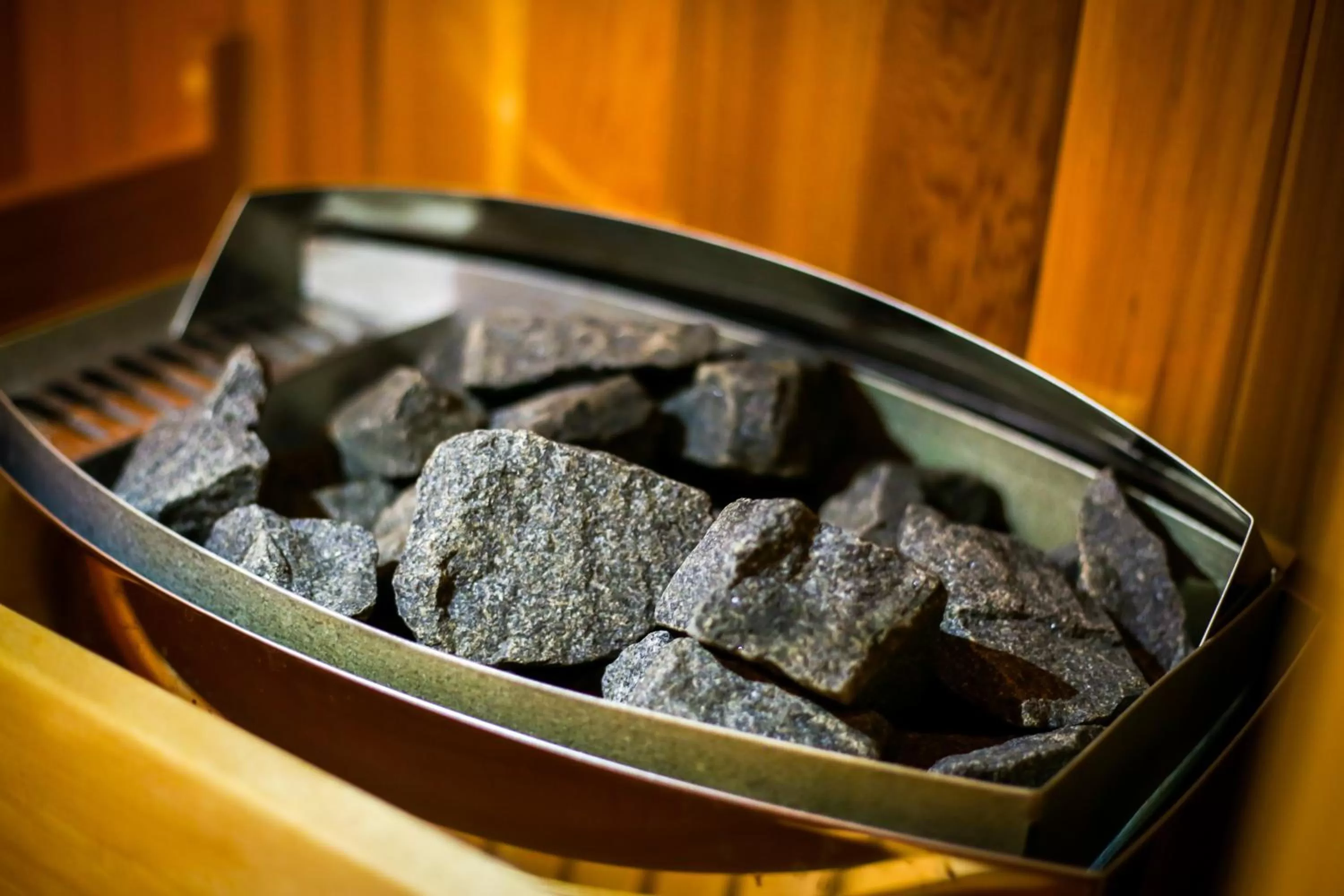 Area and facilities in Holiday Inn Plovdiv by IHG