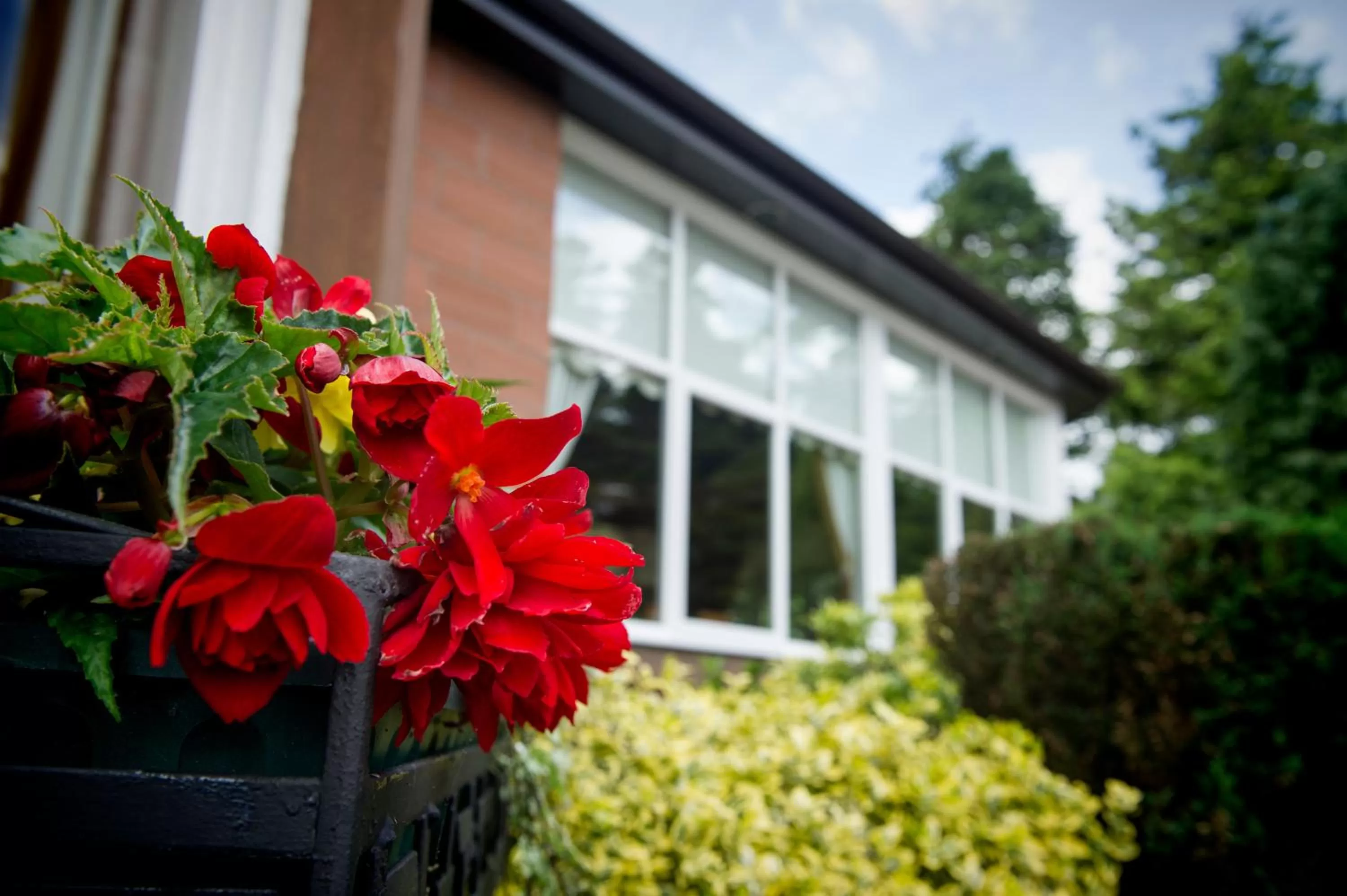 Facade/entrance in Somerton House Hotel