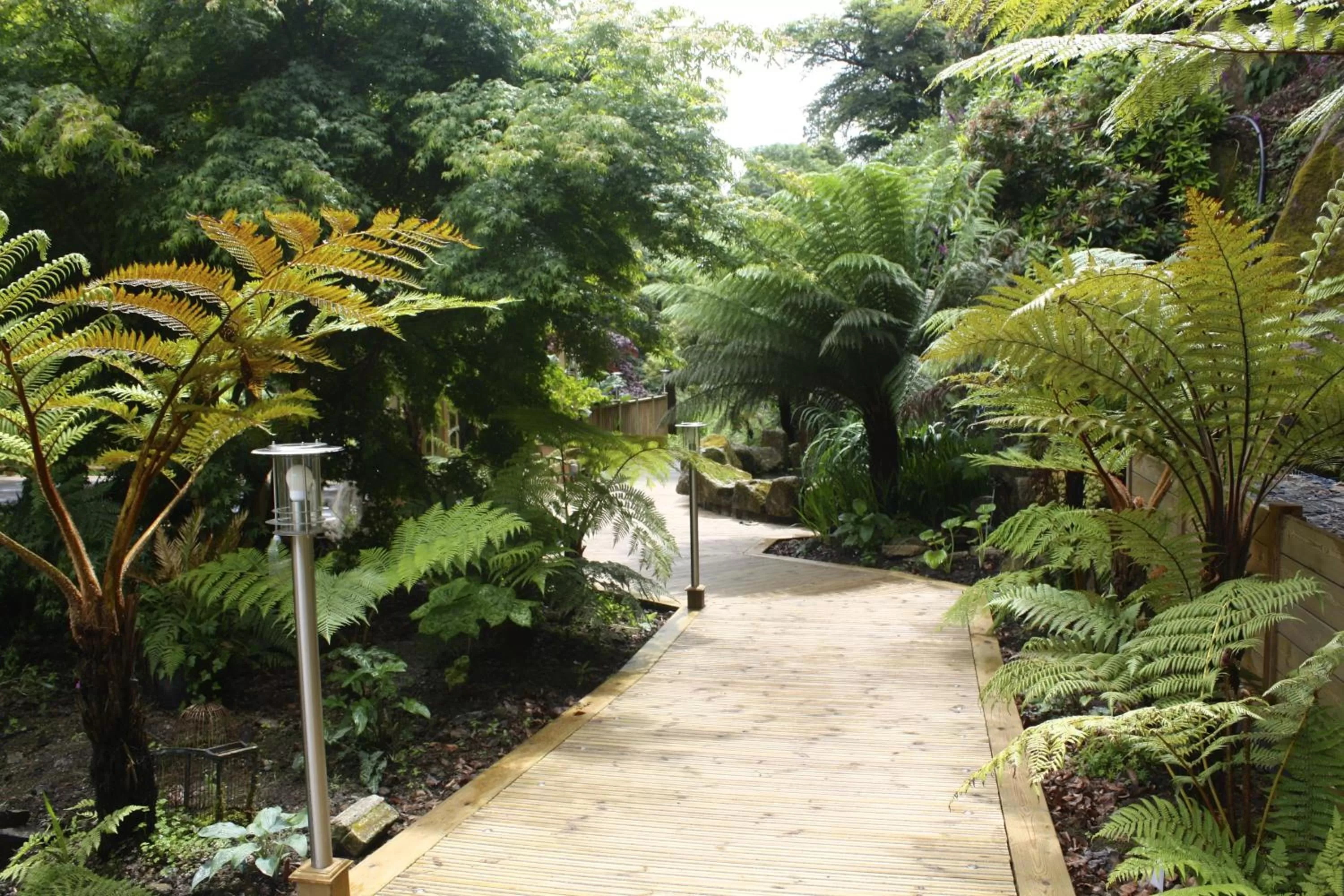 Garden in The Waterwheel