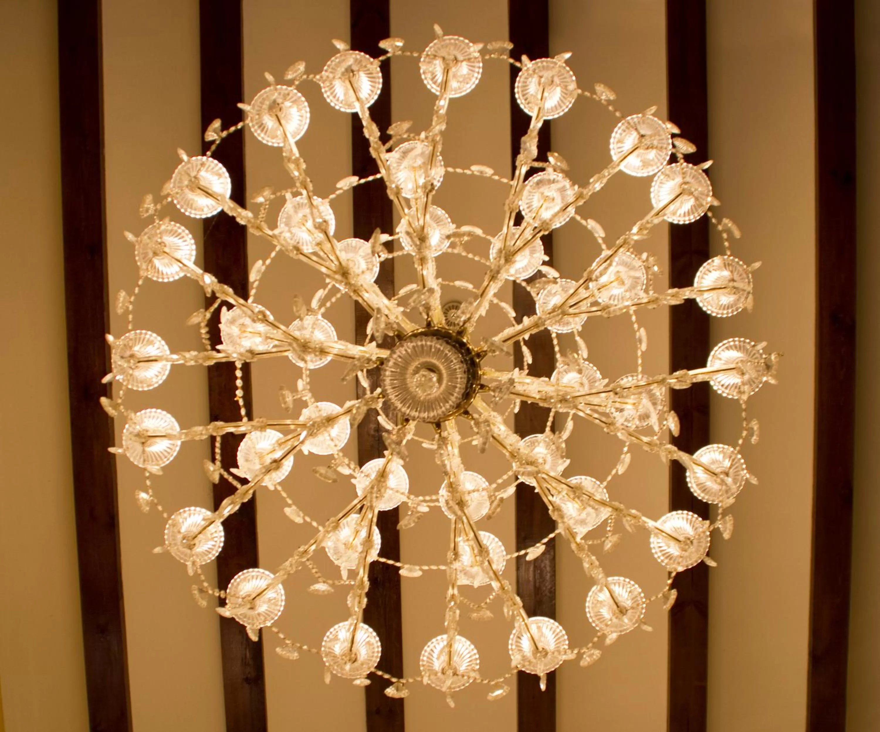 Lounge or bar in Hotel Microtel Placentinos