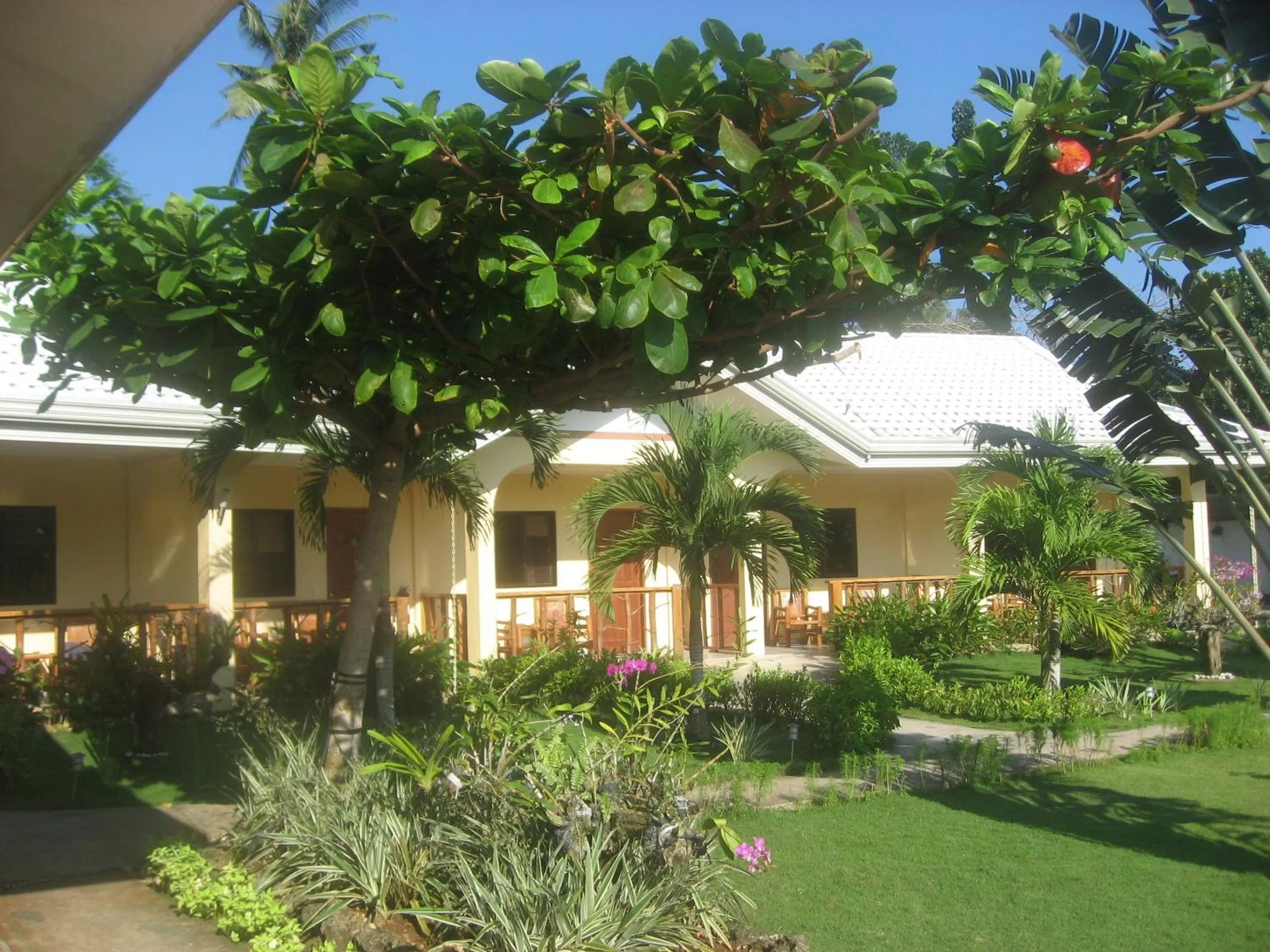 Garden in Bohol Sunside Resort