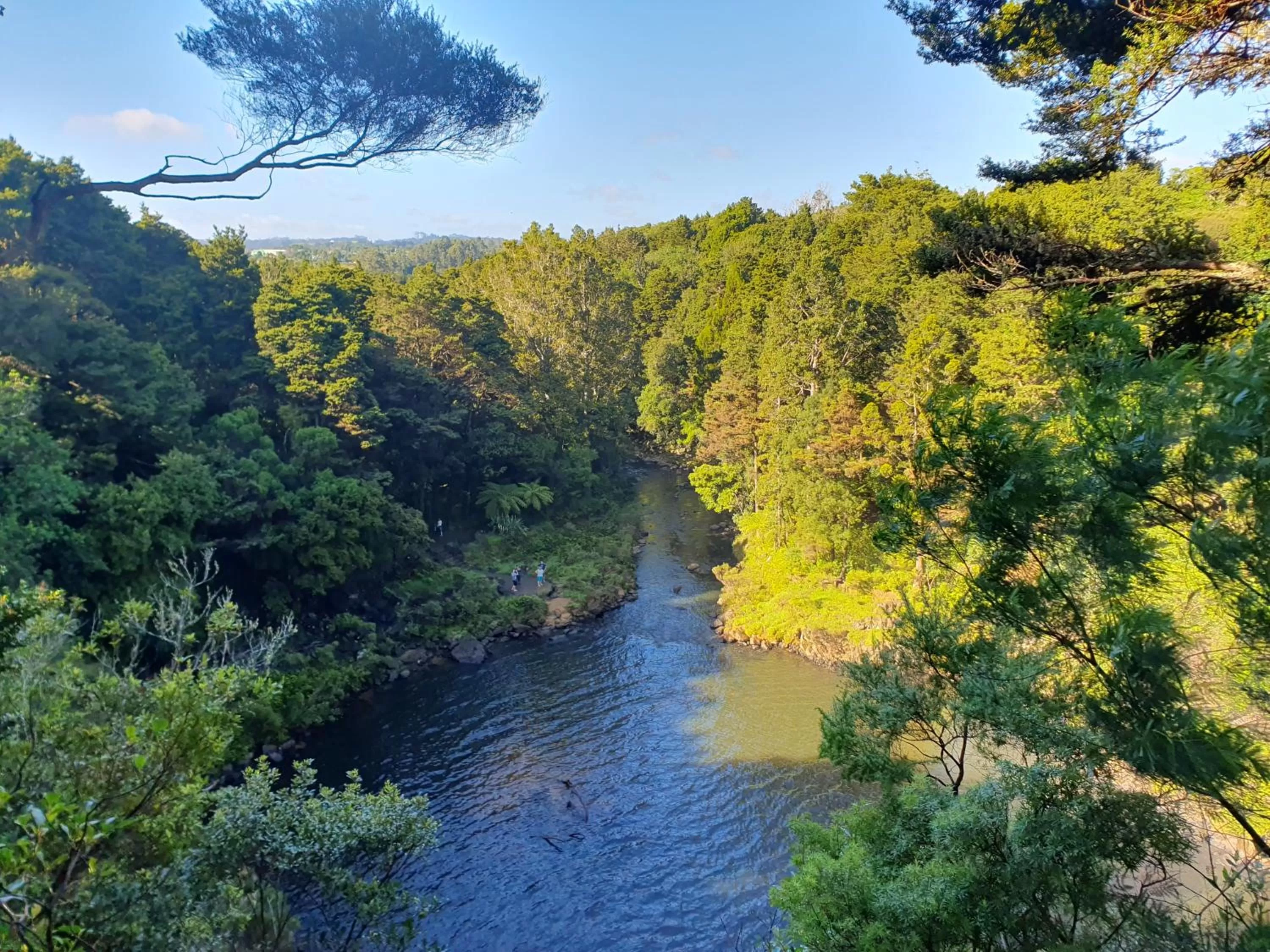 Hiking in Kerikeri Park Lodge