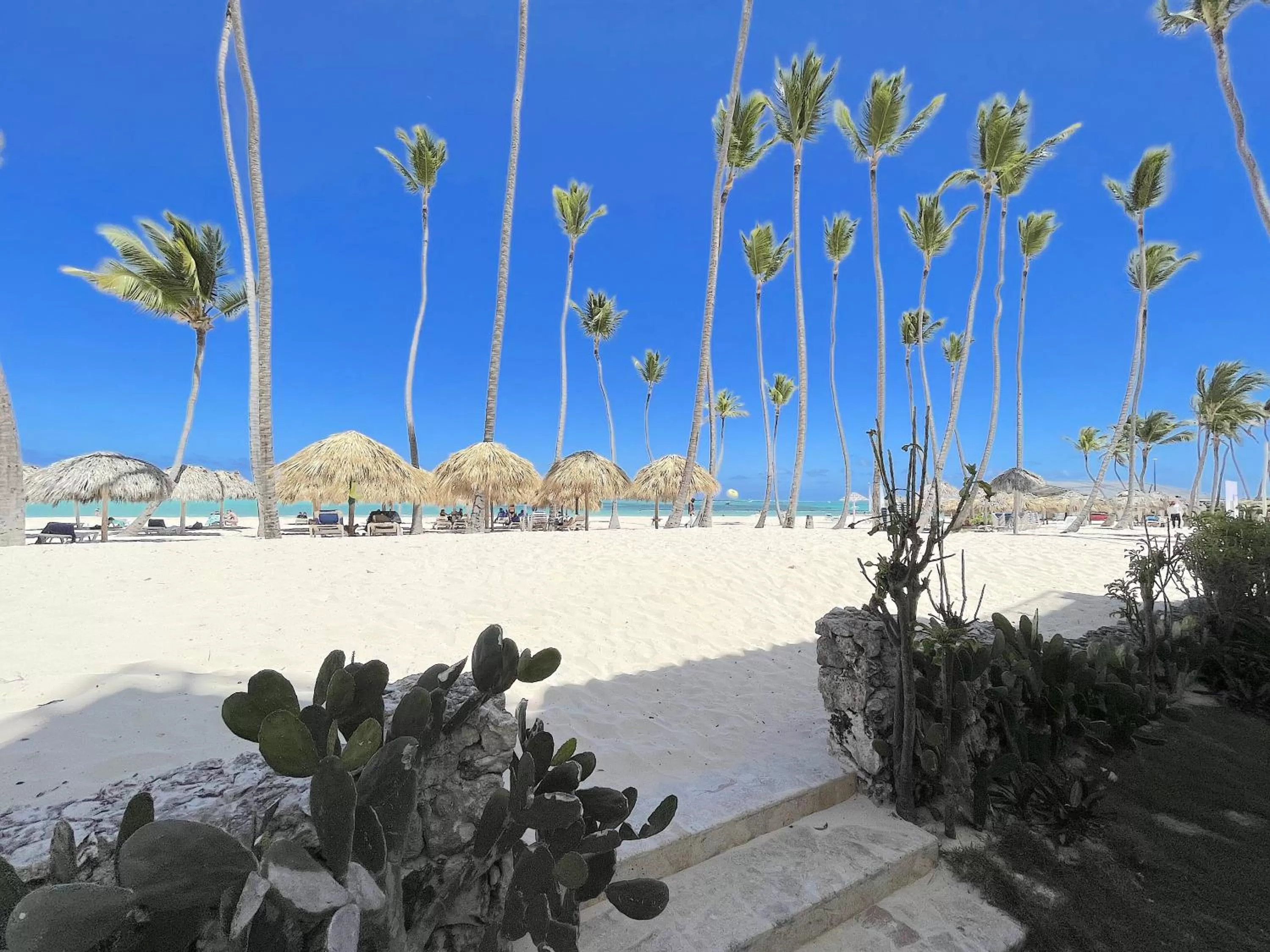 Spring, Beach in HOTEL Beach VILLAS Los Corales WIFI & BBQ BEACH CLUB