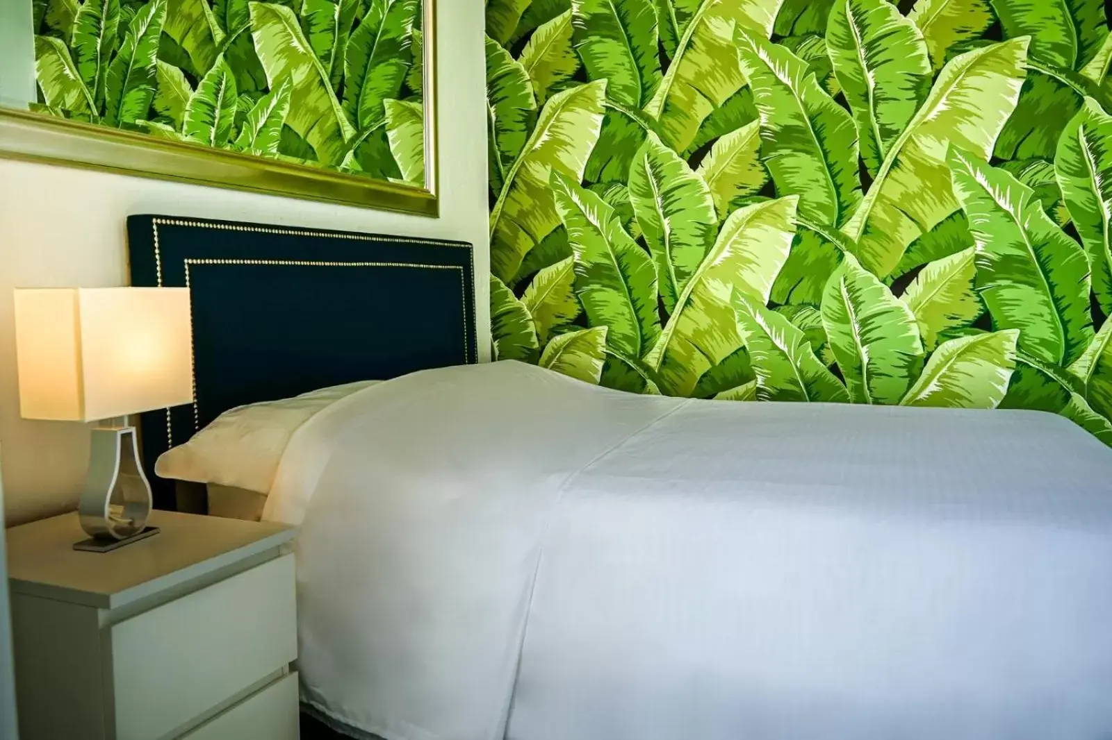 Windowless Double Room in Navona Studios Windowless Double Room in Navona Studios