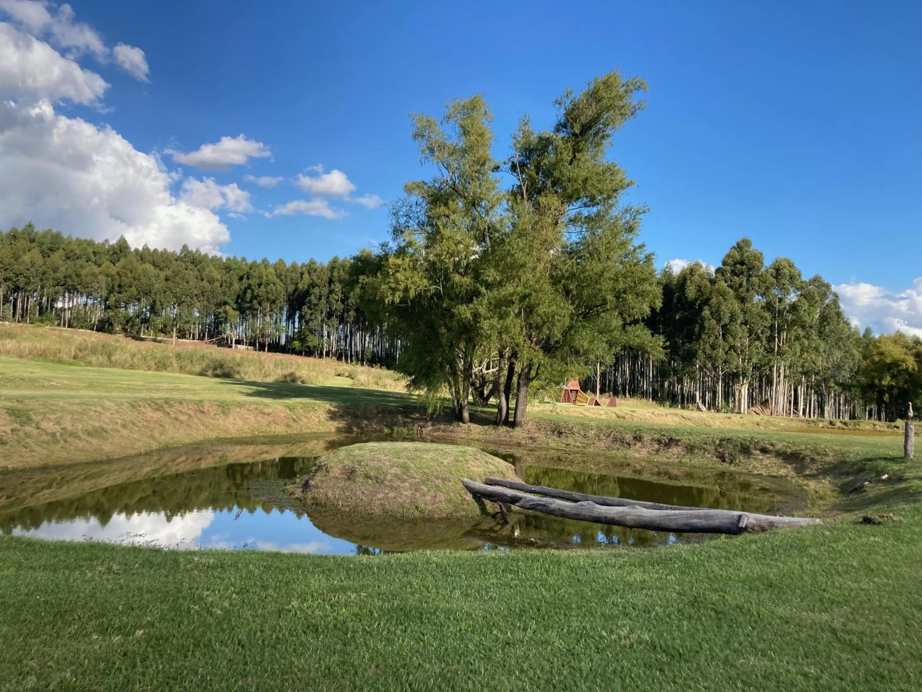 Garden in Campo Abierto