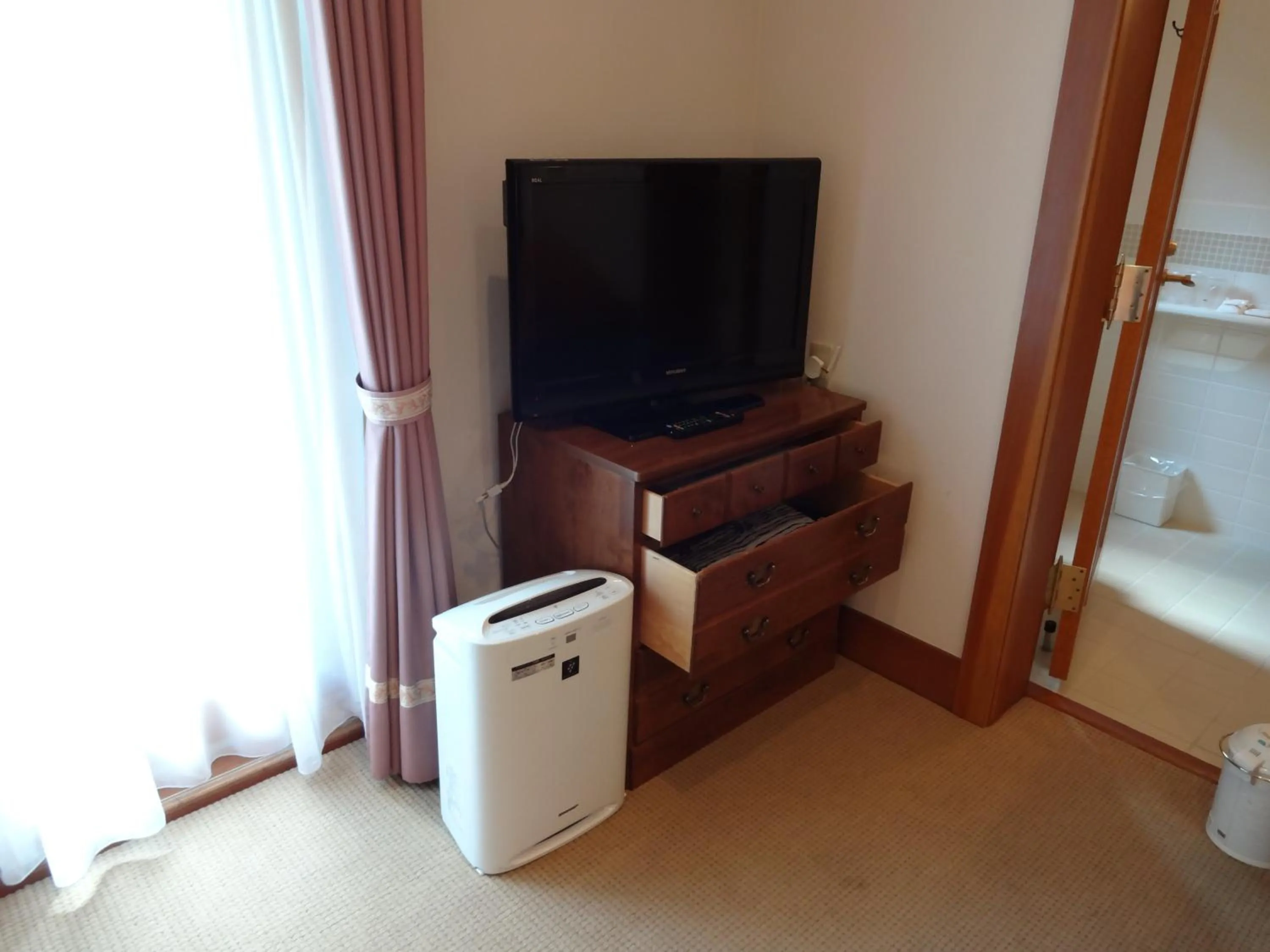 TV and multimedia in Chuzenji Kanaya Hotel