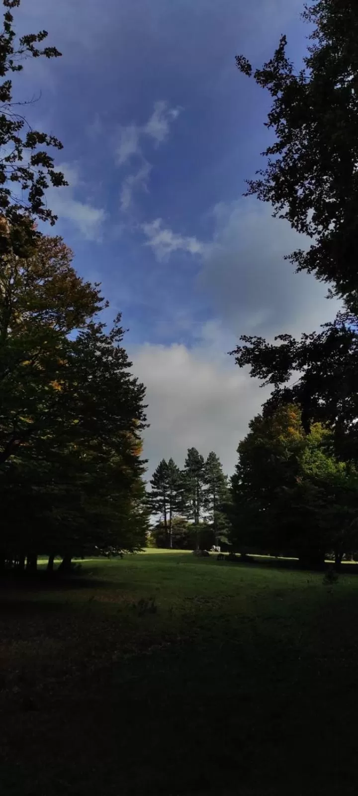 Garden in Chalet Lago