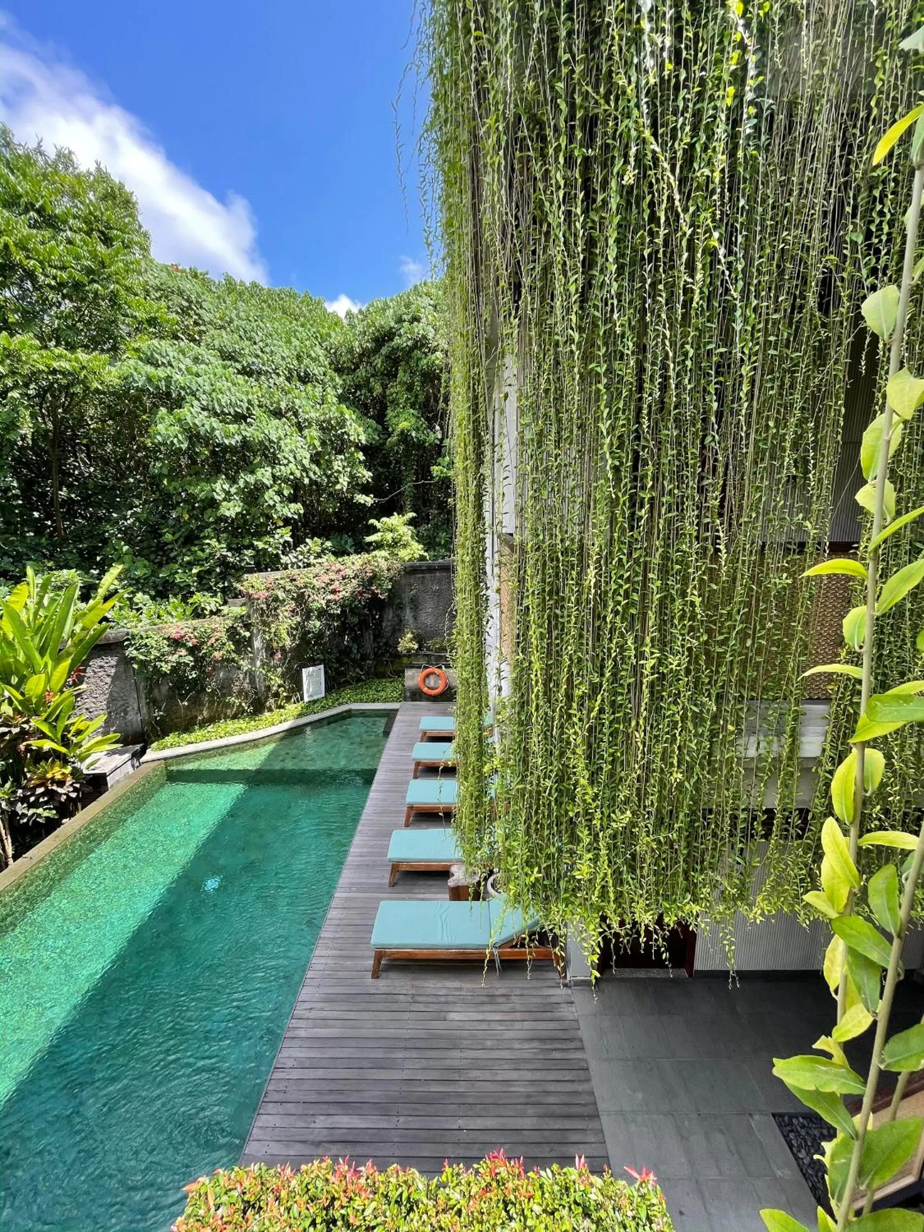 Natural landscape in ARTOTEL Haniman Ubud