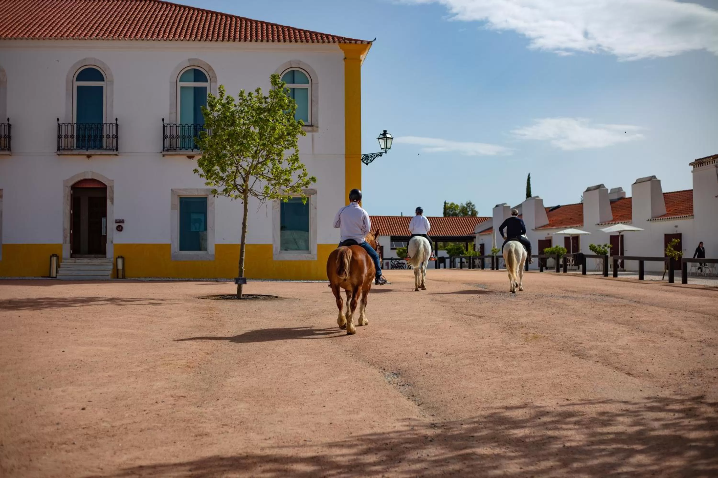 Horse-riding in Torre de Palma Wine Hotel, Monforte, a Member of Design Hotels