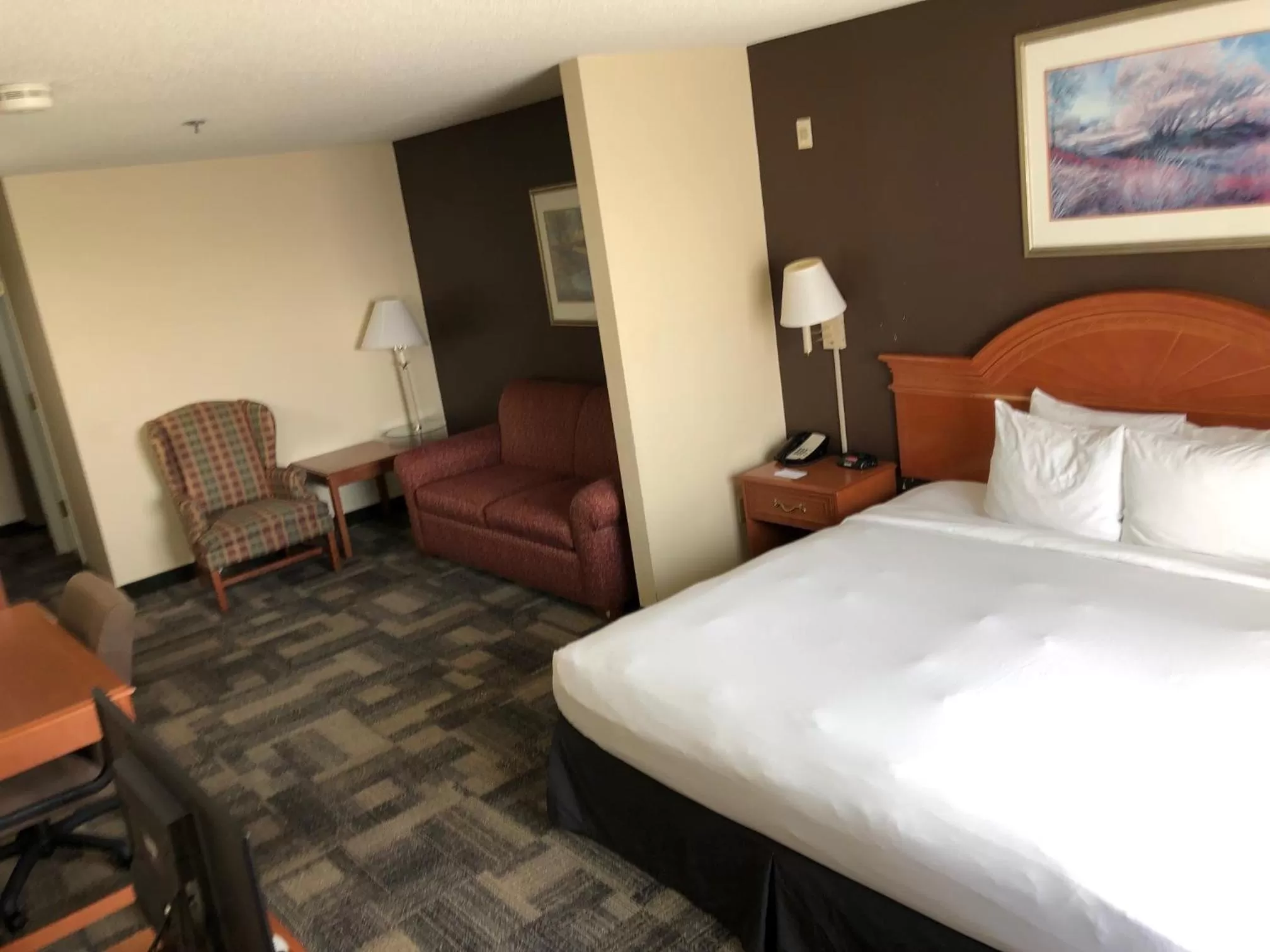 King Studio with Disability Access in Country Inn & Suites by Radisson, Chicago O'Hare South, IL