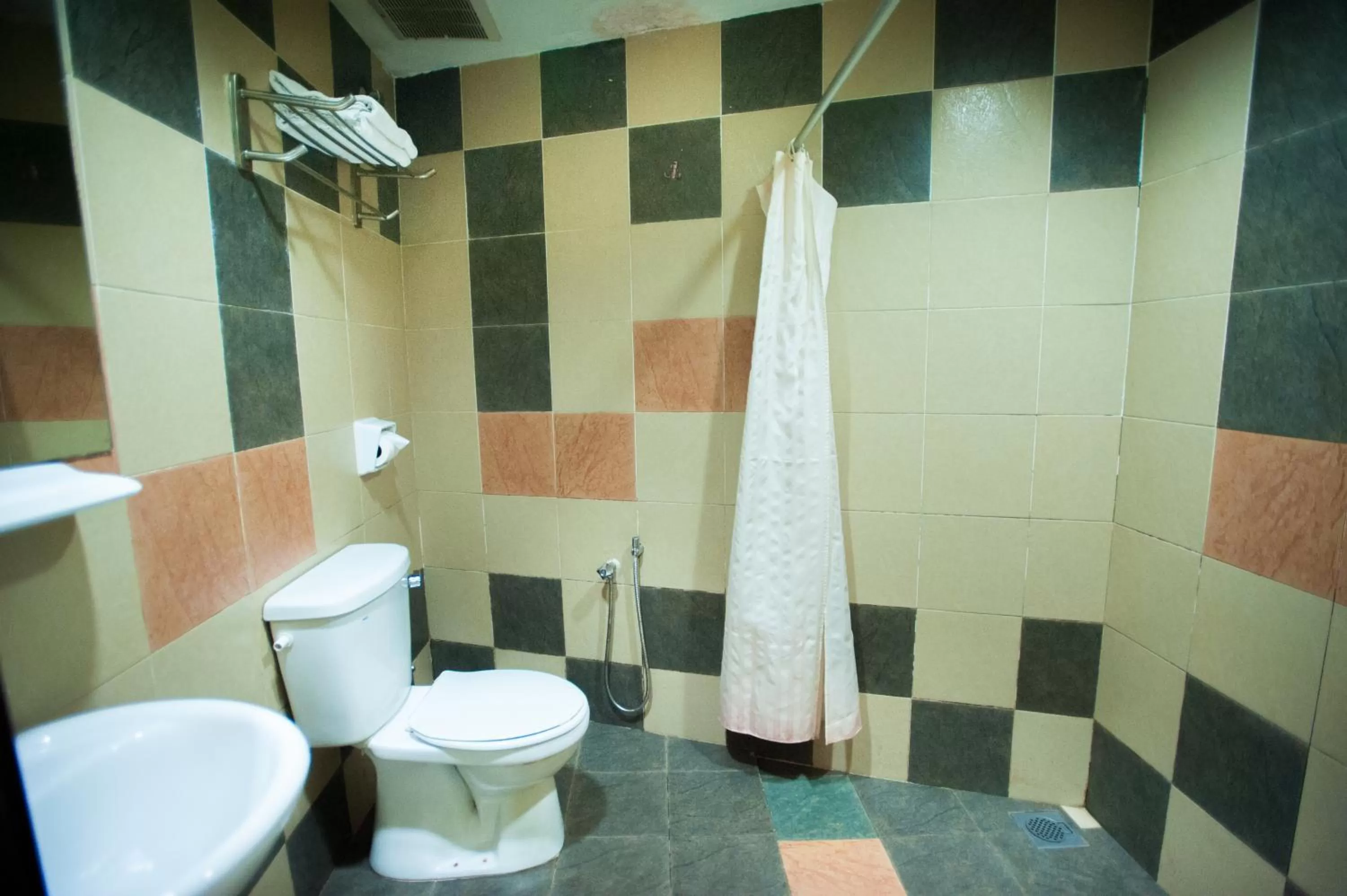 Toilet in DJ Citi Point Hotel