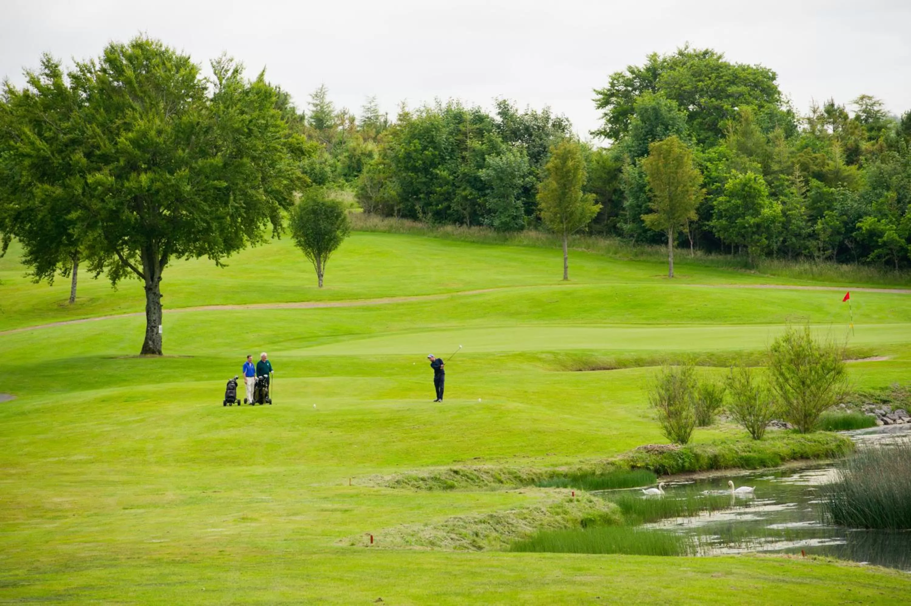 Golfcourse in Hotel Woodstock Ennis