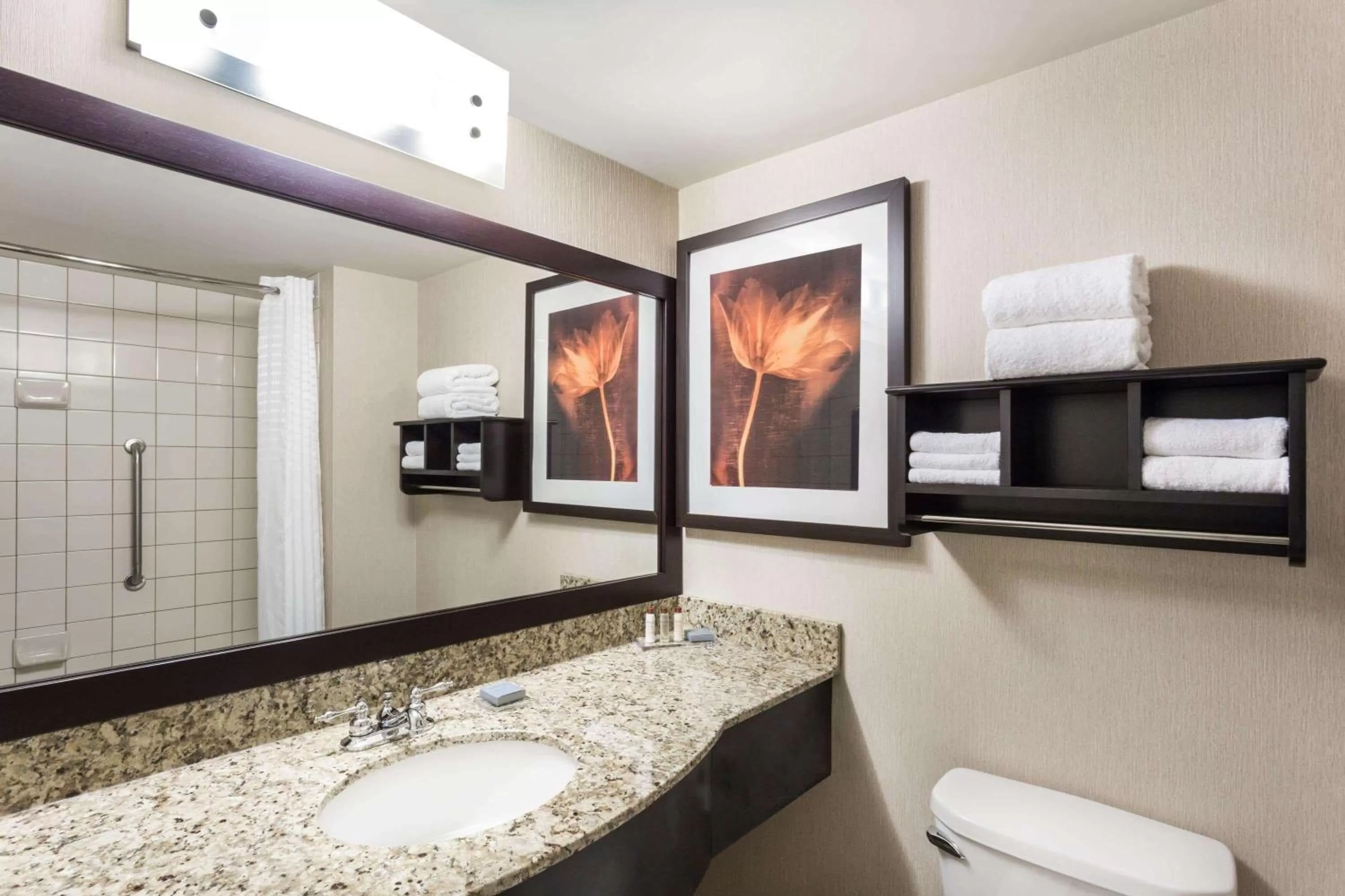Bathroom in Wingate by Wyndham Regina
