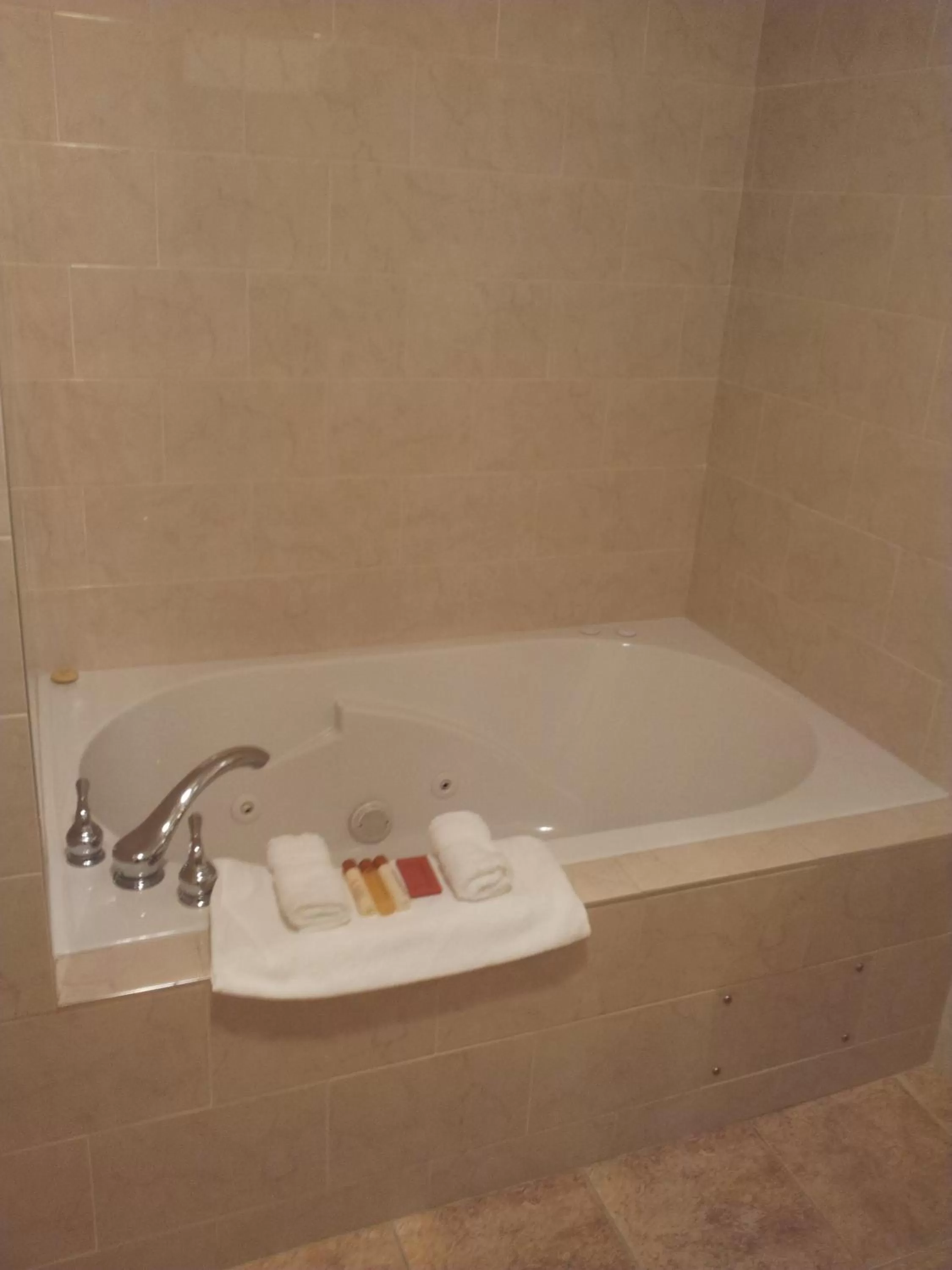 Bathroom in Belvedere Inn Schenectady - Albany