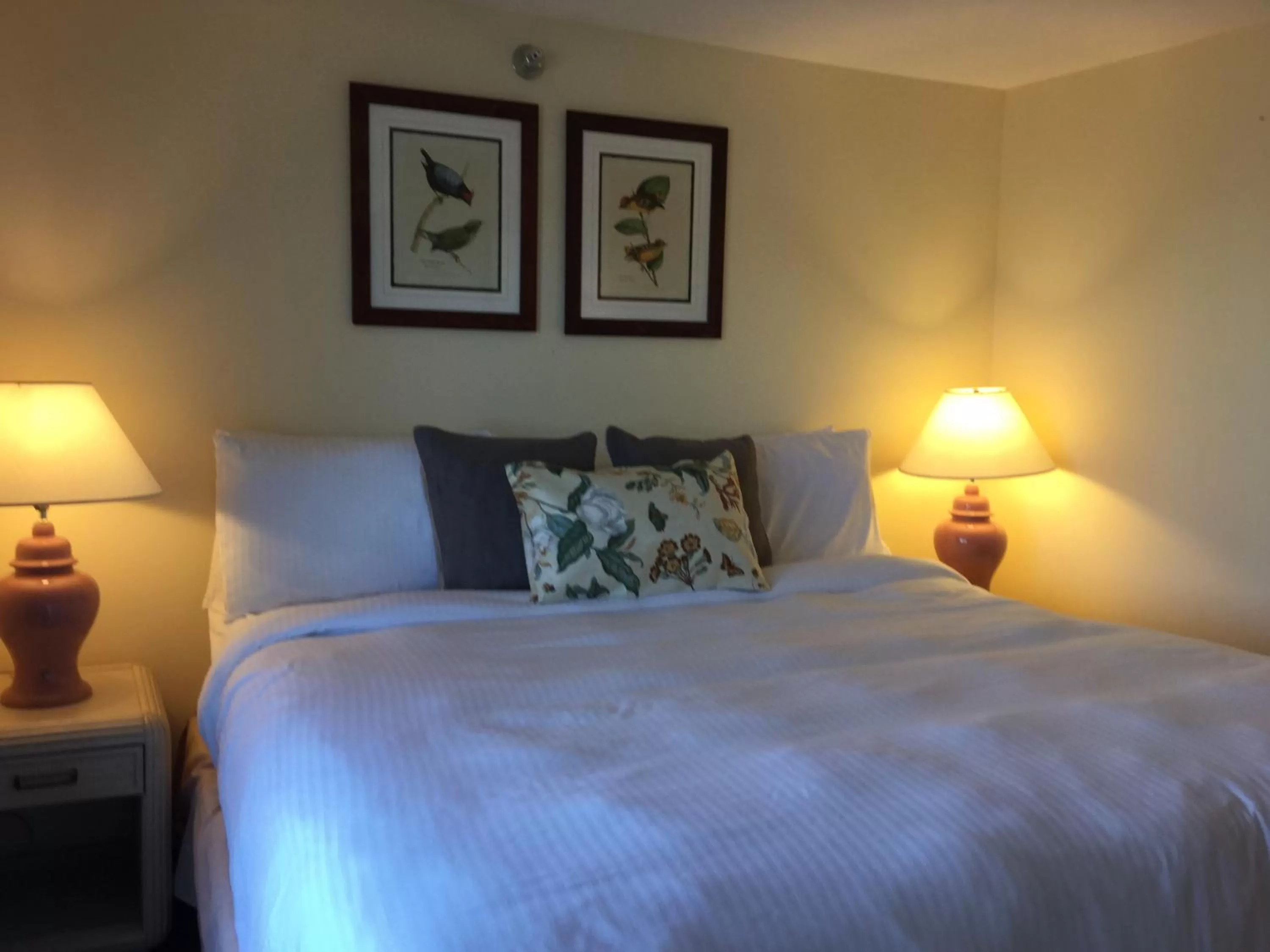 Bed in The Beach Rose Inn