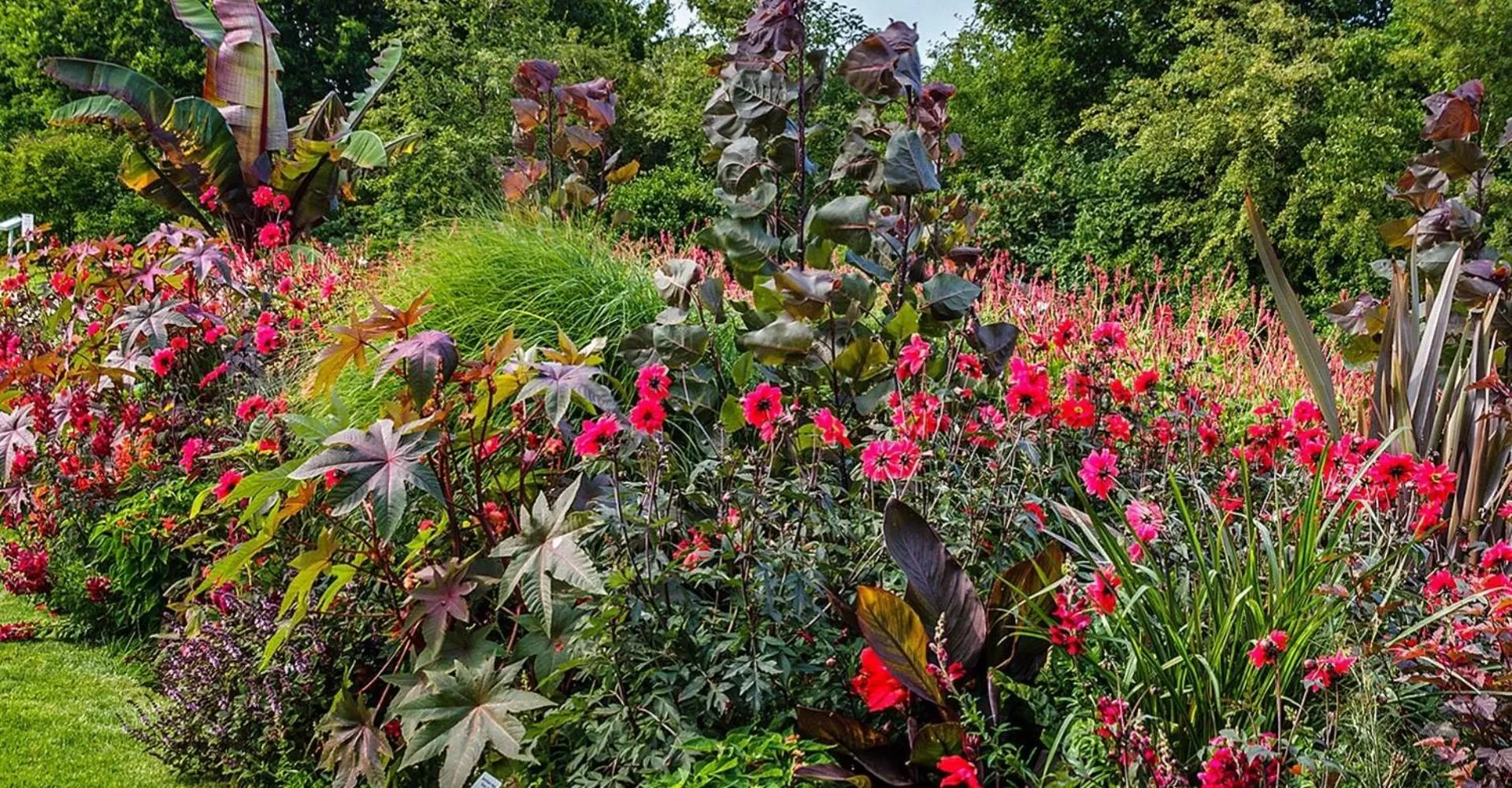 Activities in Hotel Pension Petra