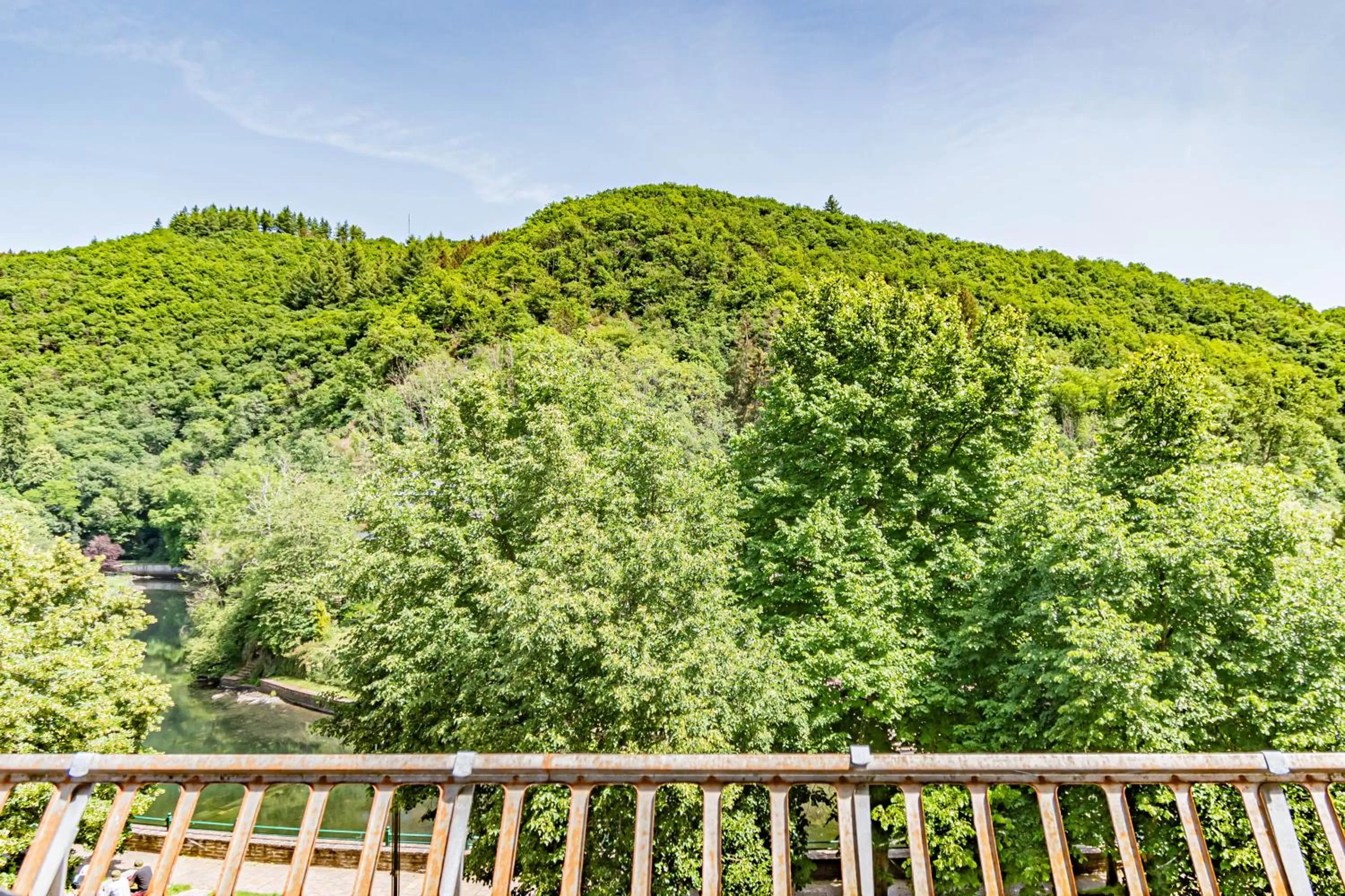 View (from property/room) in Hotel Le Postillon