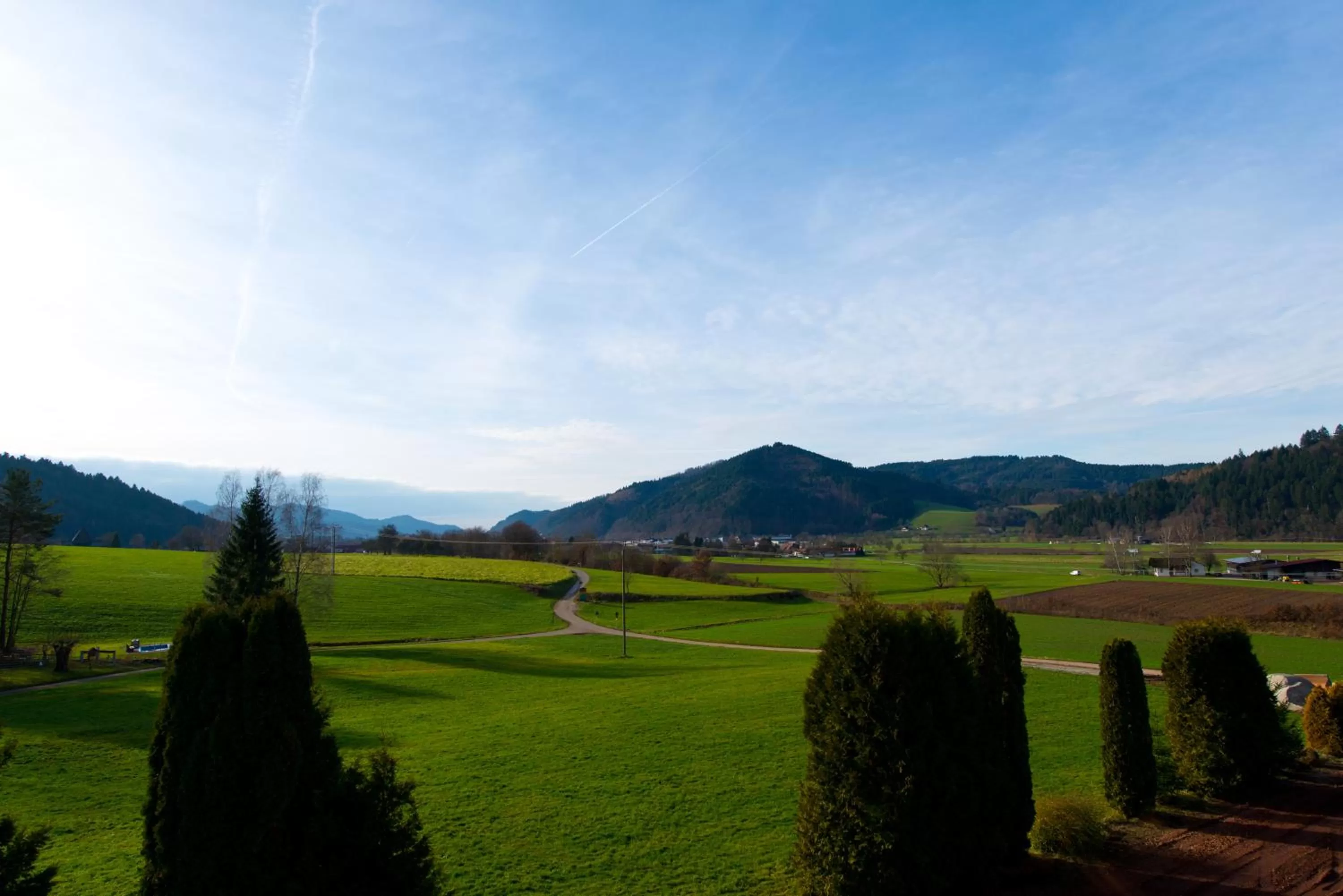View (from property/room) in Silberkönig Schwarzwald Hotel & Restaurant Ringhotel