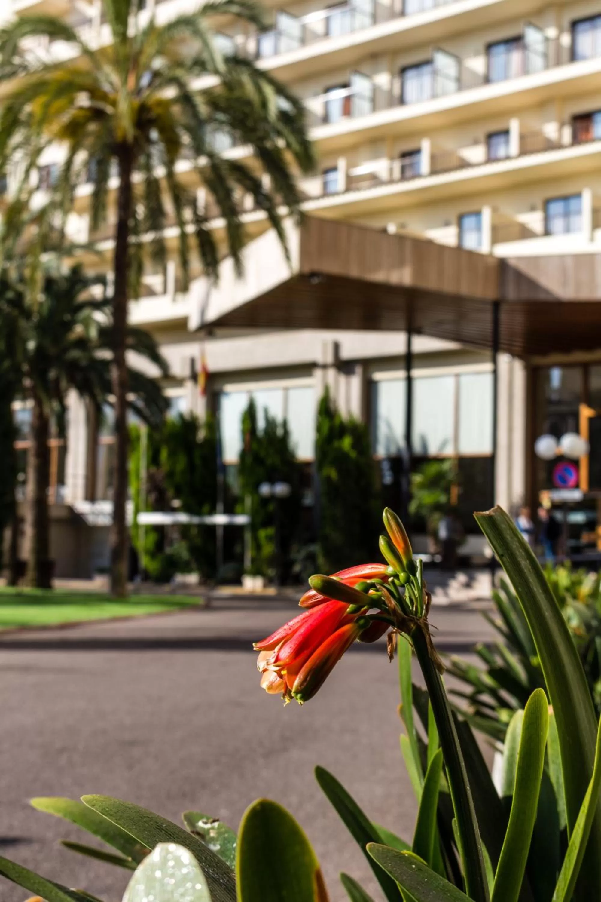 Facade/entrance in Intelier Orange