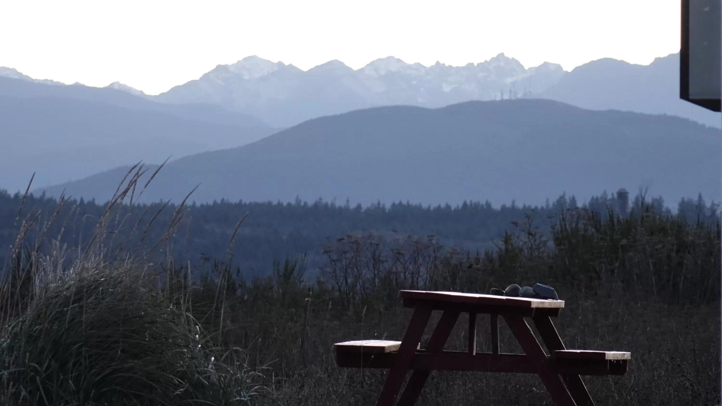 Natural landscape in Tides Inn & Suites