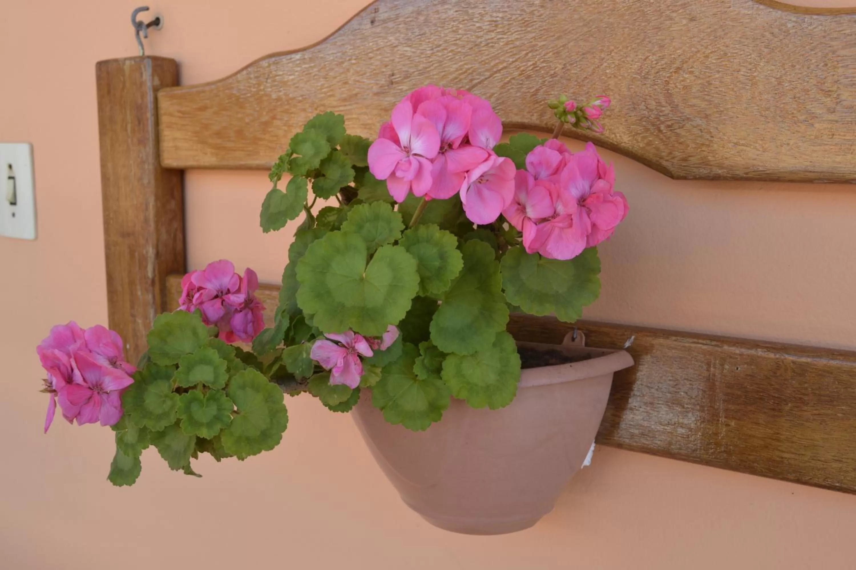 Pousada Água da Fonte