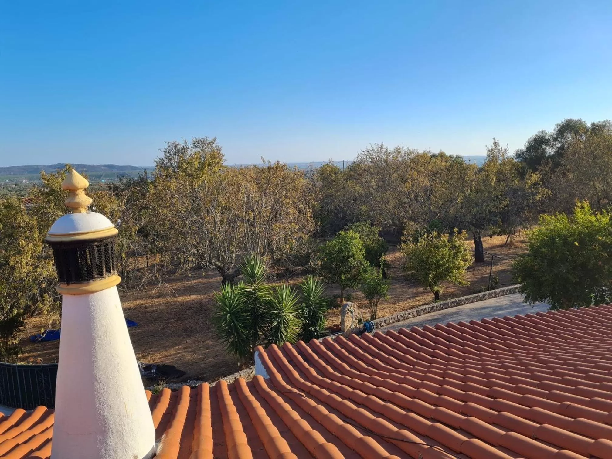 Day in B&B Quinta da Romãzeira