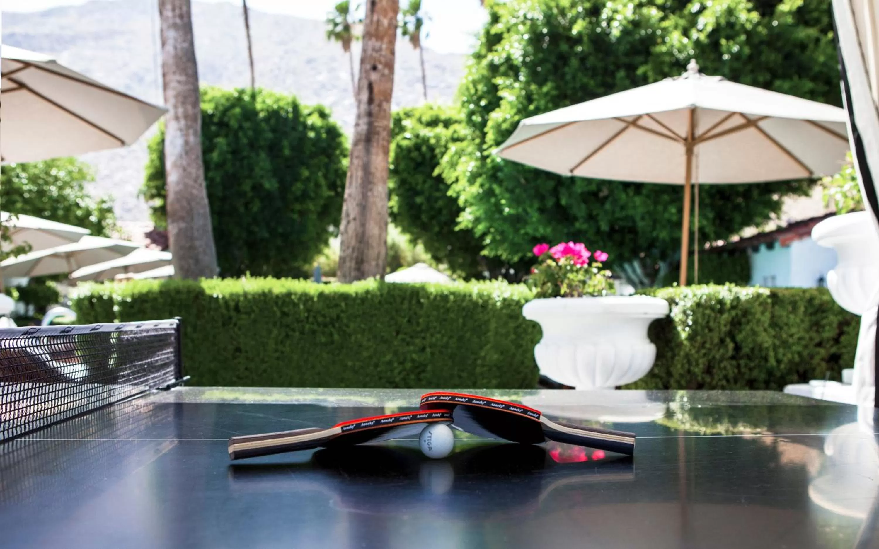 Table tennis in Avalon Hotel & Bungalows Palm Springs, a Member of Design Hotels