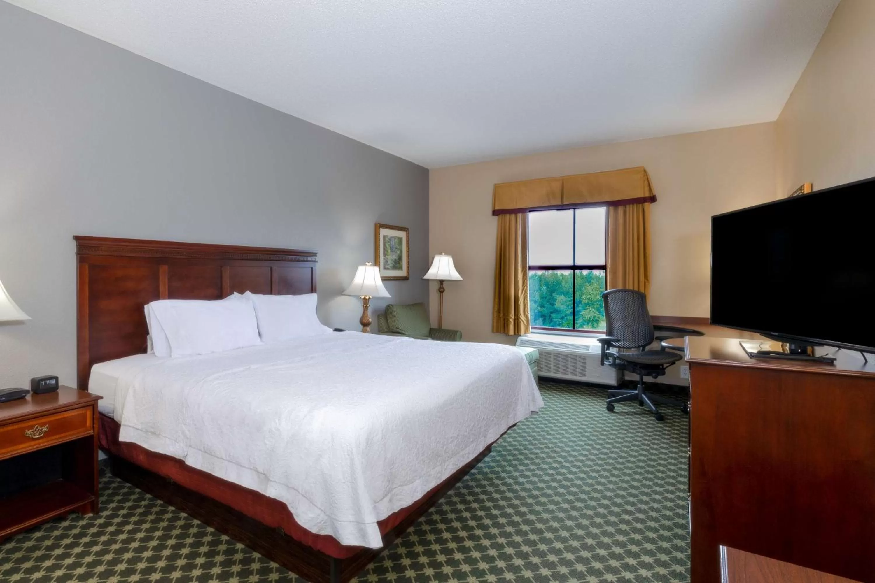 King Room with Roll-In Shower - Disability Access in Hampton Inn Lawrenceville Duluth